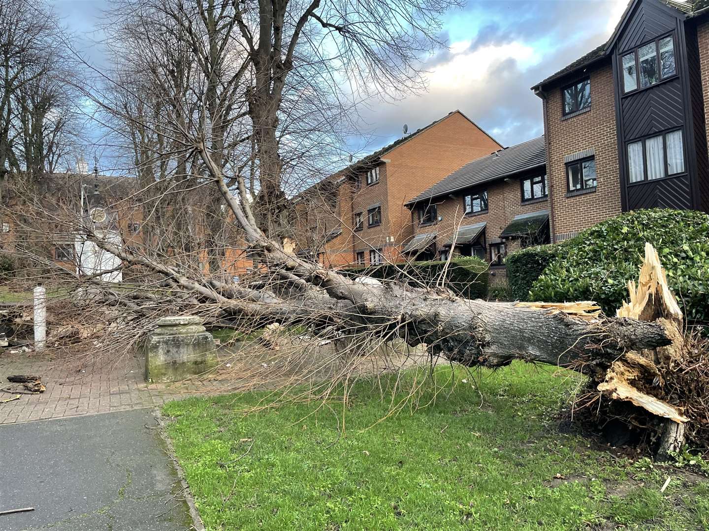 A tree blown over by the wind in Tooting, south-west London (Richard Wheeler/PA)