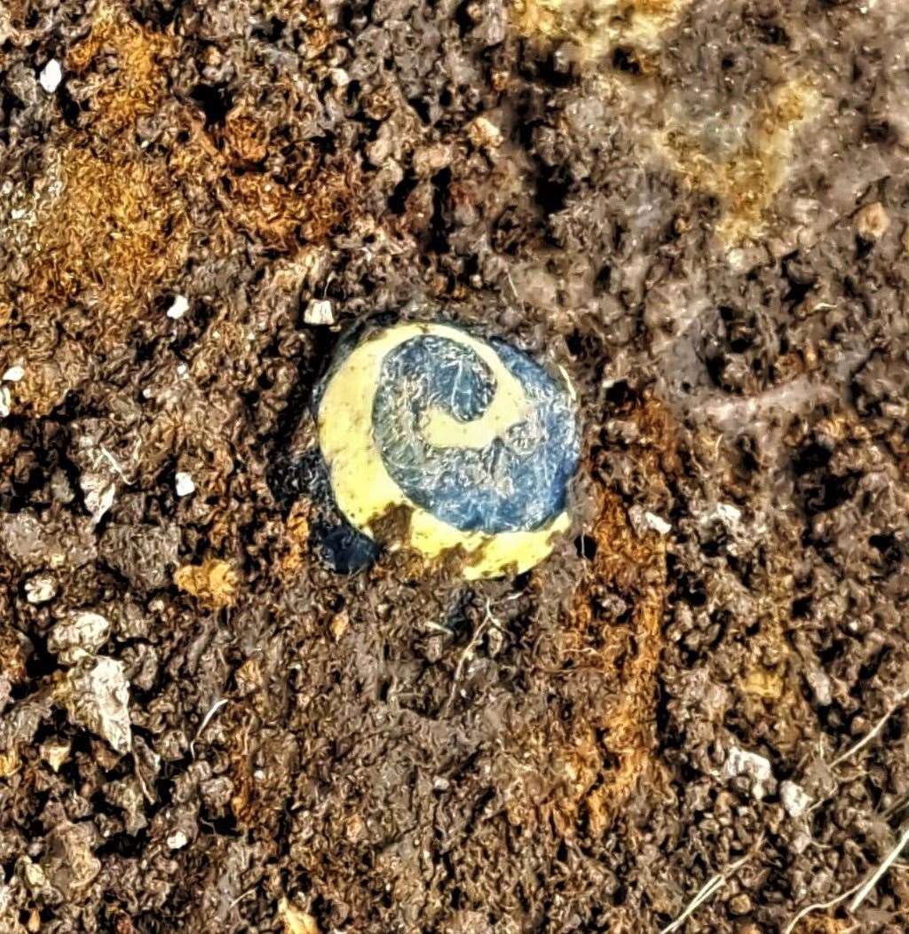 The bead in situ just after it was discovered. Picture: Rod Mann