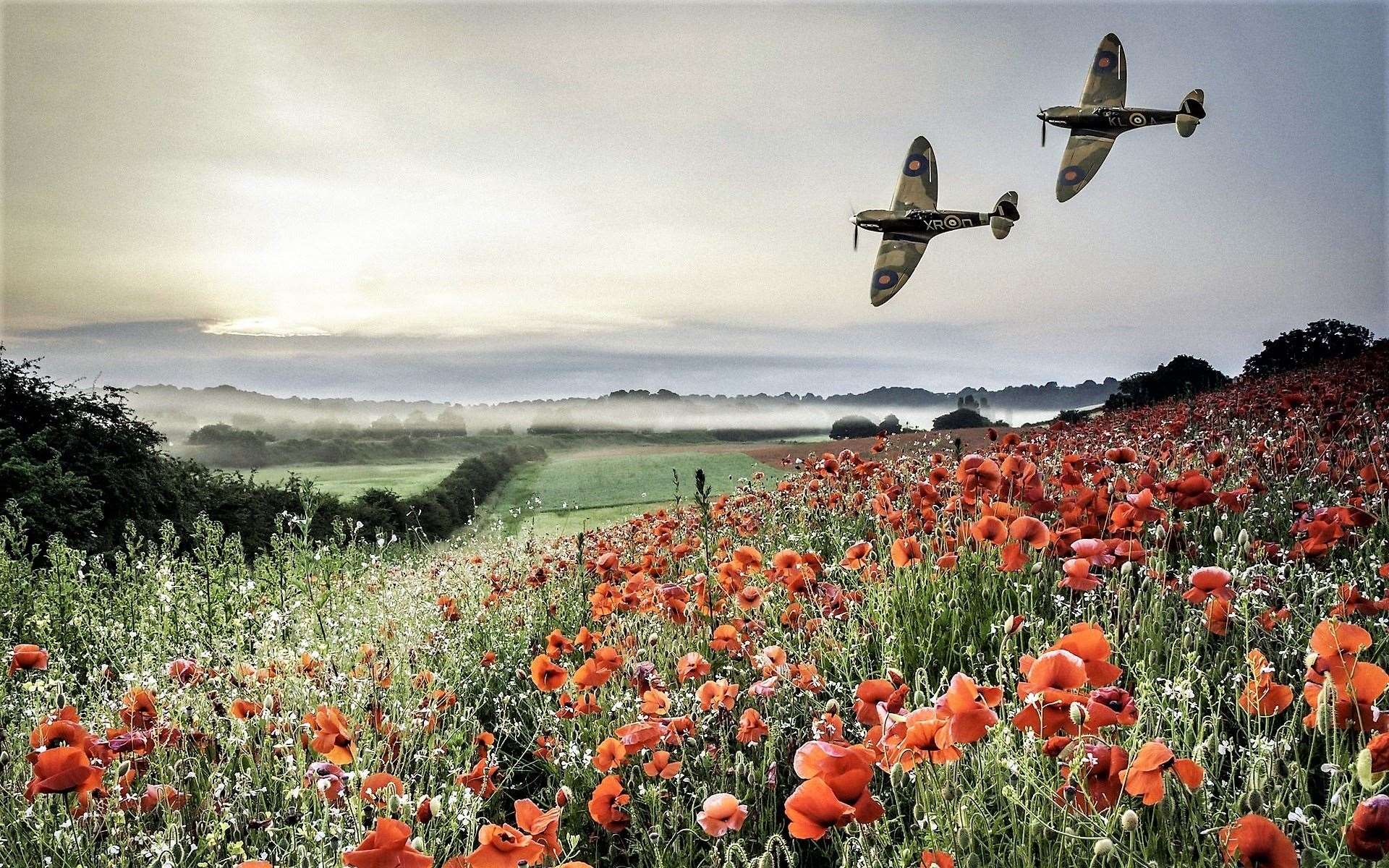 Spitfire aircraft flying by a field of poppies as a symbol of remembrance.