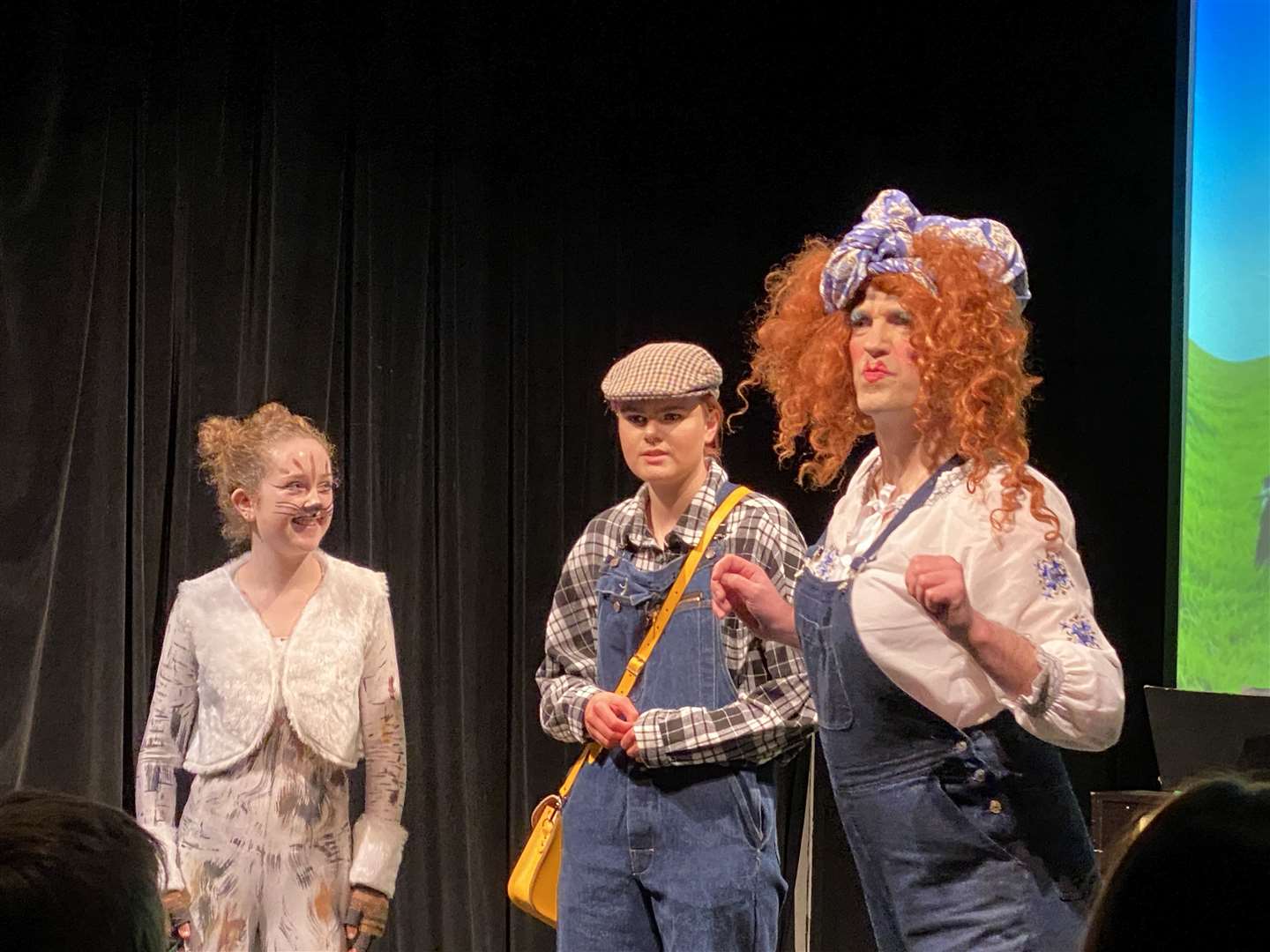 Puss (Ola Omand), Dick (Faith Charlton) and Auntie Meg (Martin Shepherd).