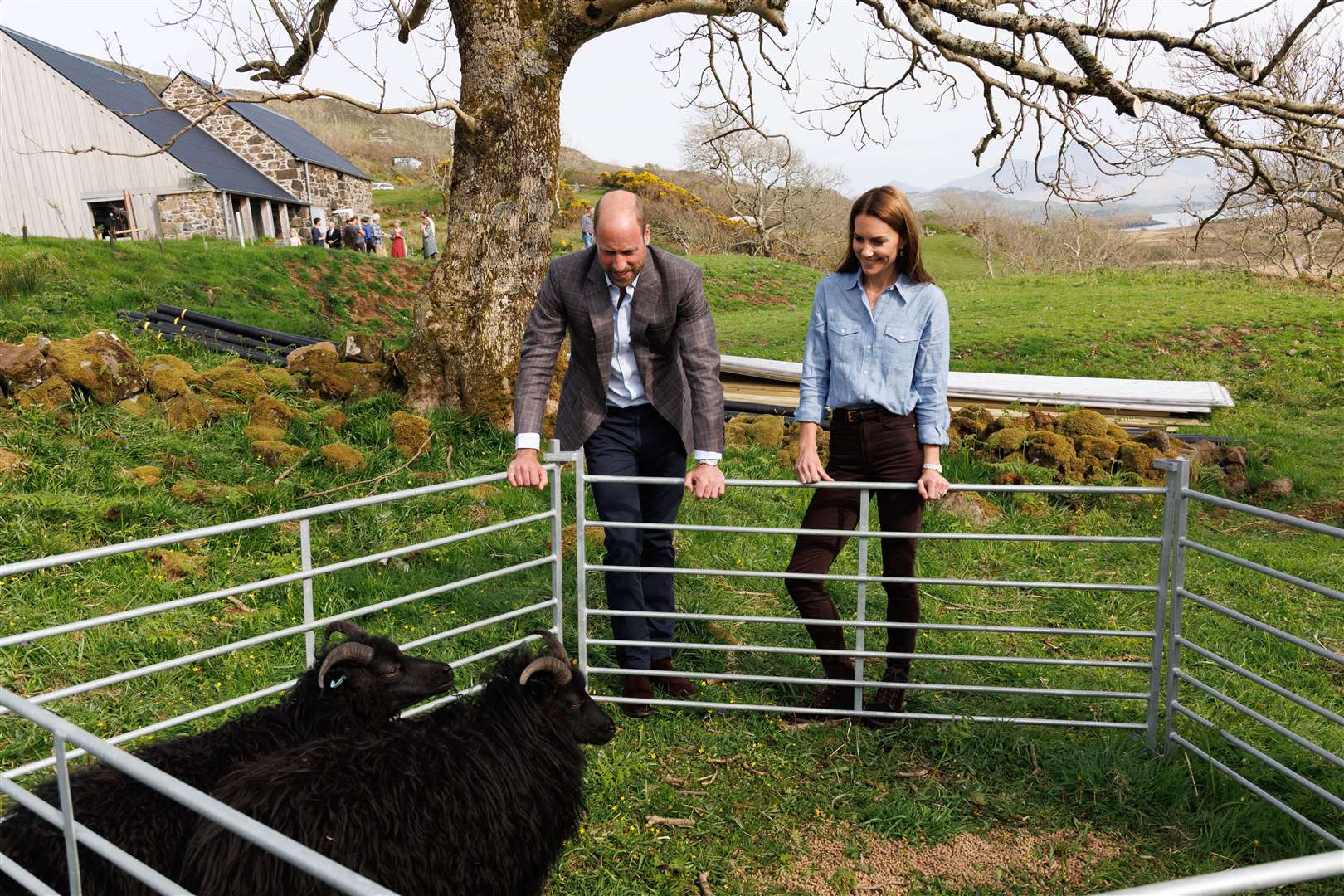 The Prince and Princess of Wales were shown some Hebridean sheep during their visit to a croft on the west coast of Mull (Robert Perry/Daily Mail Scotland/PA)