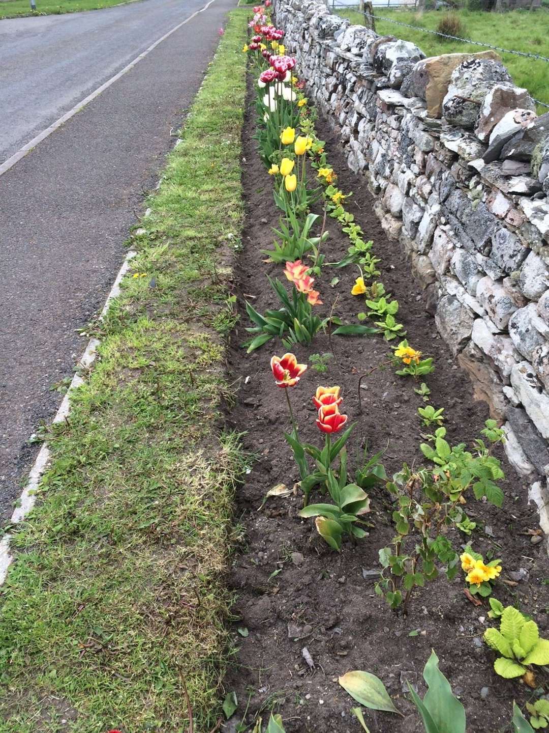 The roadside project has been well maintained with the grass newly cut.