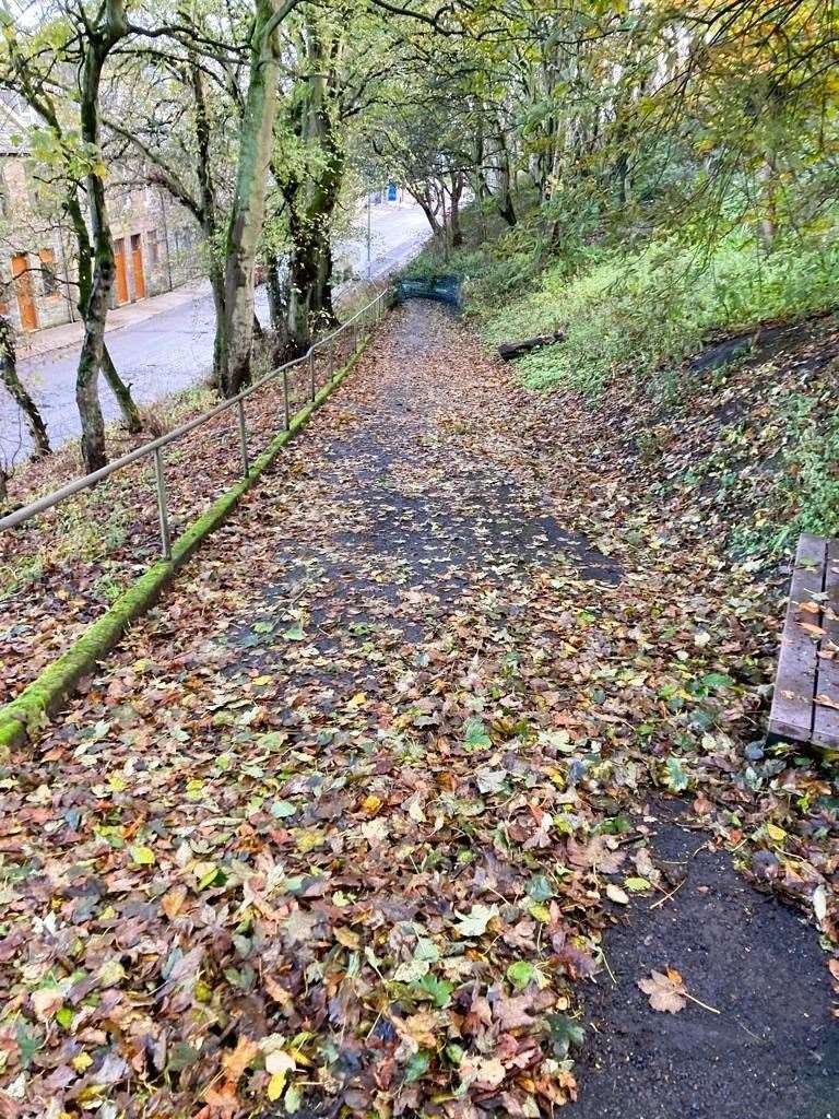 Before image showing the path covered in leaves. Picture supplied