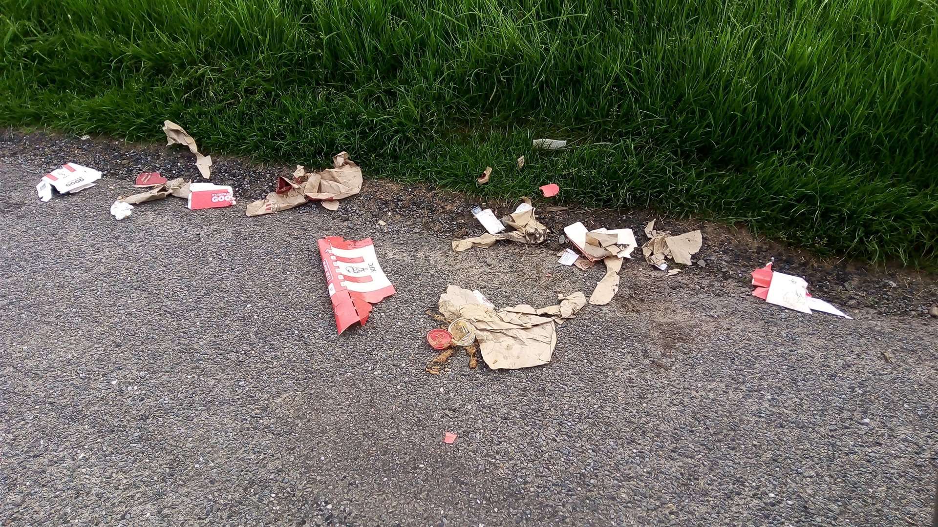Irresponsible fast food fans dumped loads of used KFC wrappings and a smashed bottle of vodka on the B861 just south of Inverness at the weekend. Picture: Philip Murray.