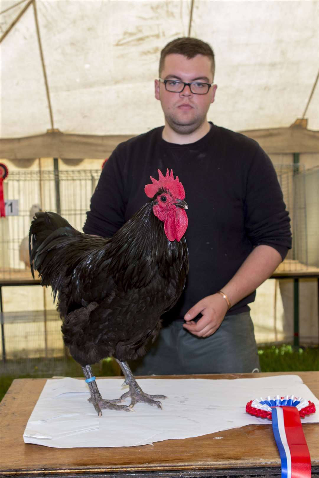 Peter Body, Upper Gills, took the poultry championship with his large black Australorp cockerel. Picture: Robert MacDonald / Northern Studios