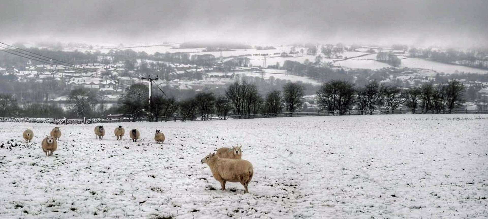 It comes after parts of the UK had a White Christmas (PA)