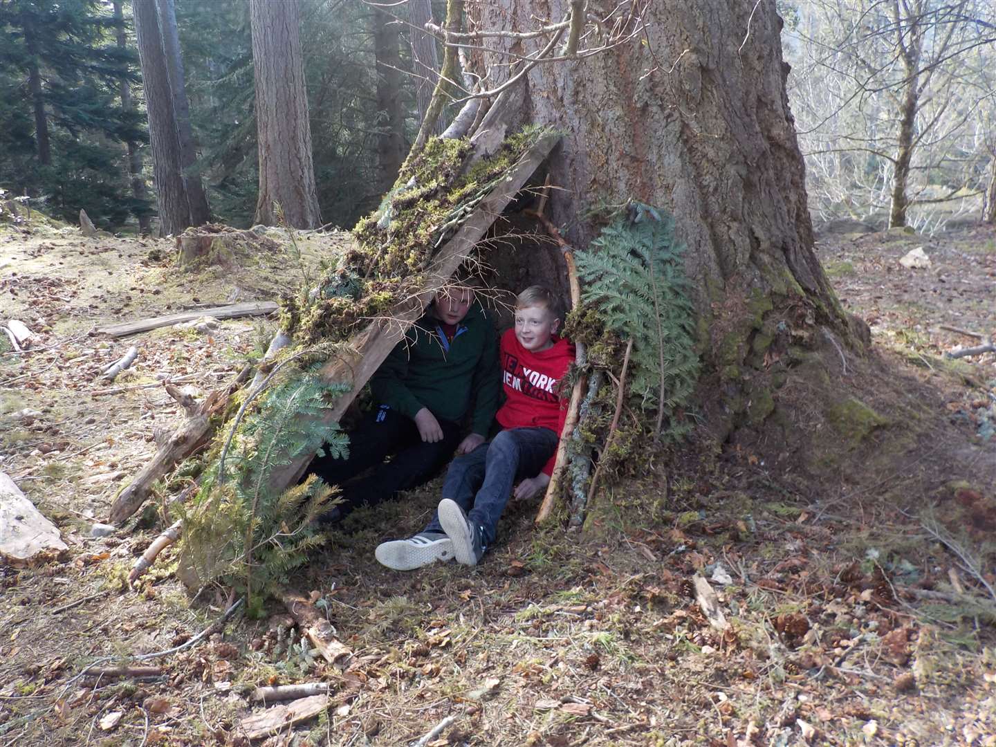 Finding shelter in a woodland den.