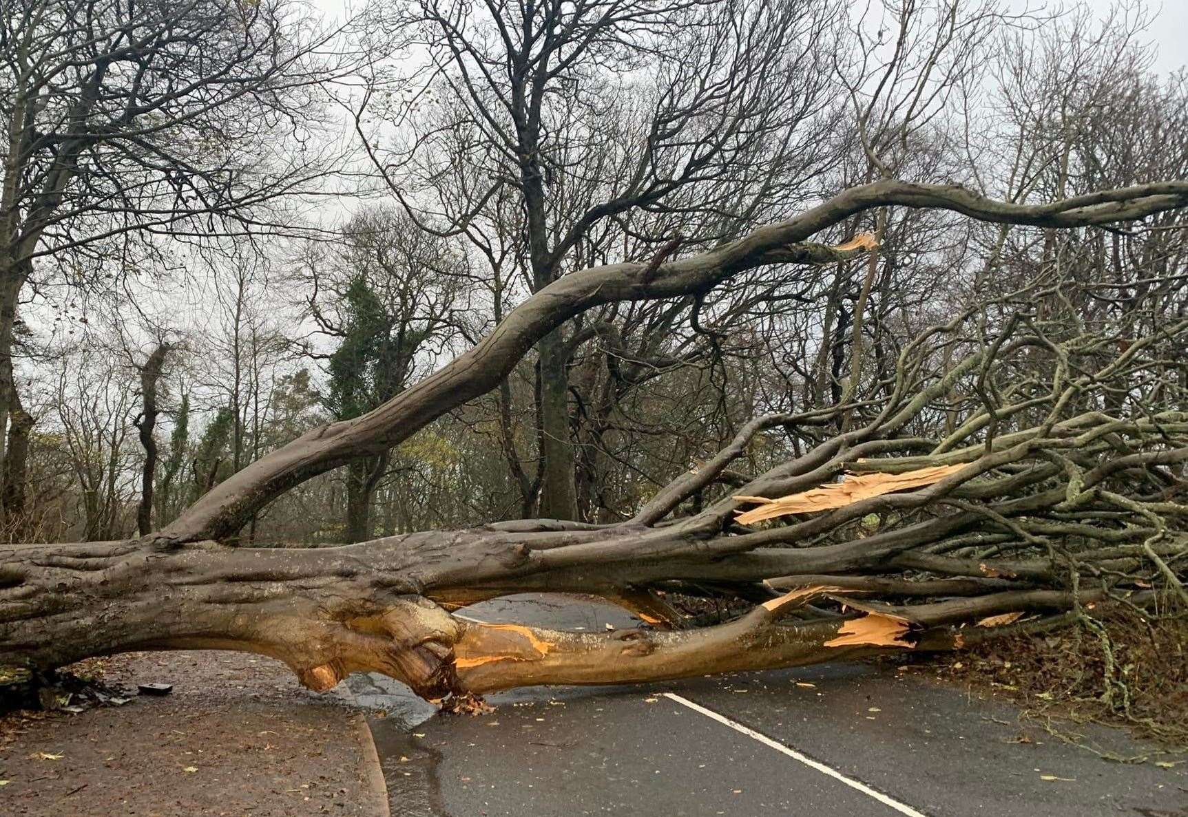 Road reopened at Castletown after fallen tree cleared