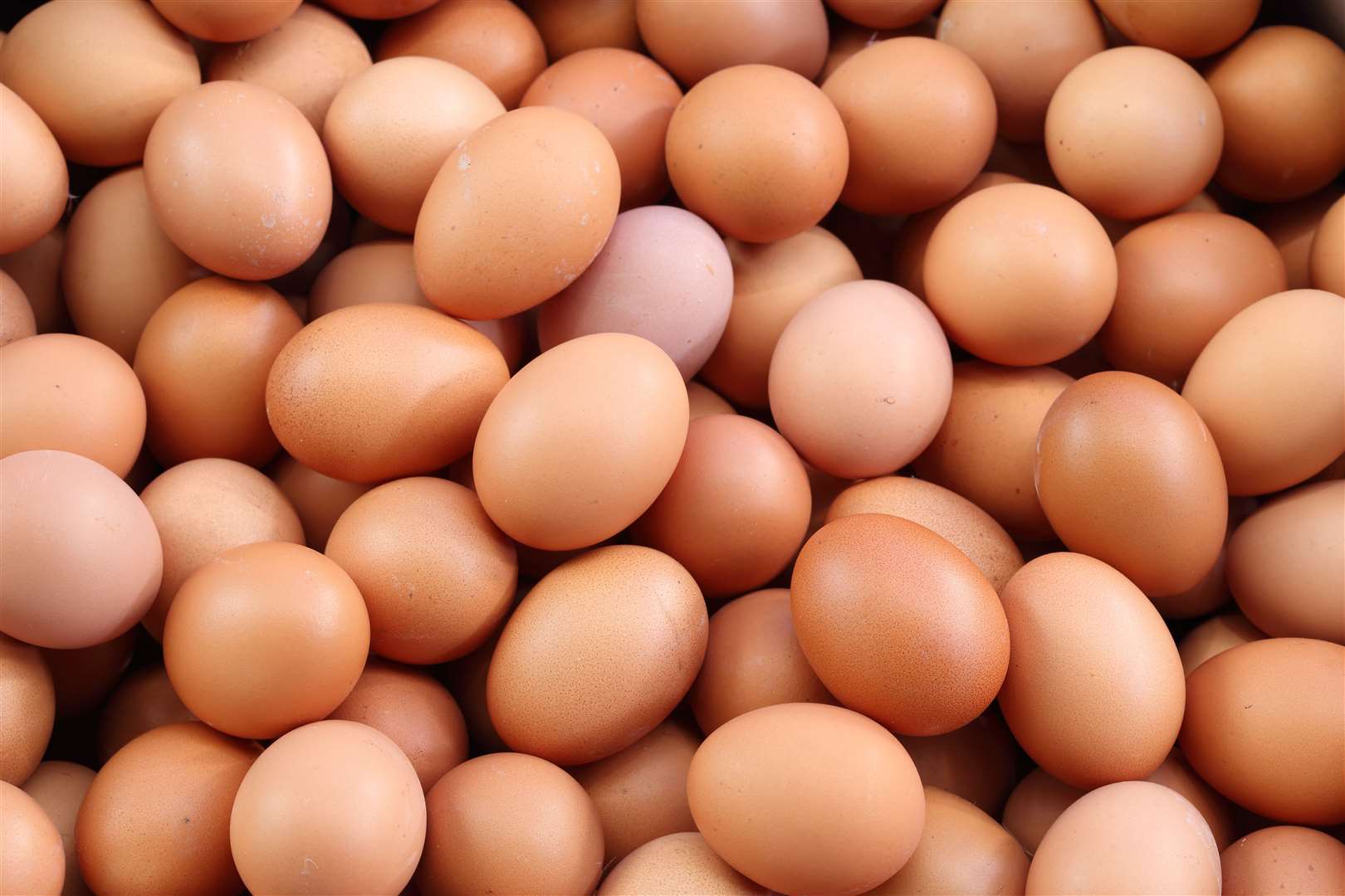 Britain is 91 per cent self-sufficient in eggs. Picture: Adobe Stock