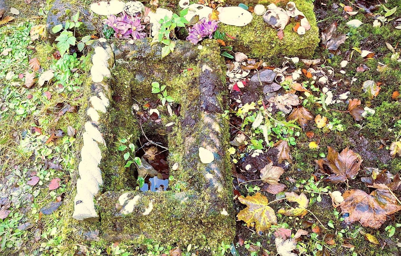 The selkie grave at Olrig Cemetery is said to never dry out. Picture: DGS