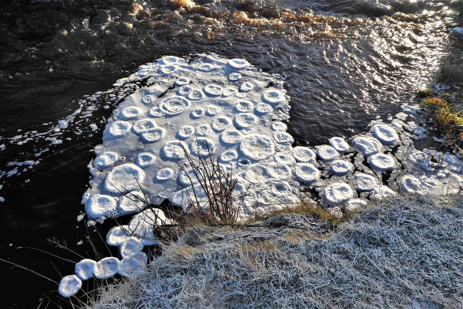 Ice pancakes form when there is fast flowing water next to a slower moving one and surface froth freezes. Picture: DGS