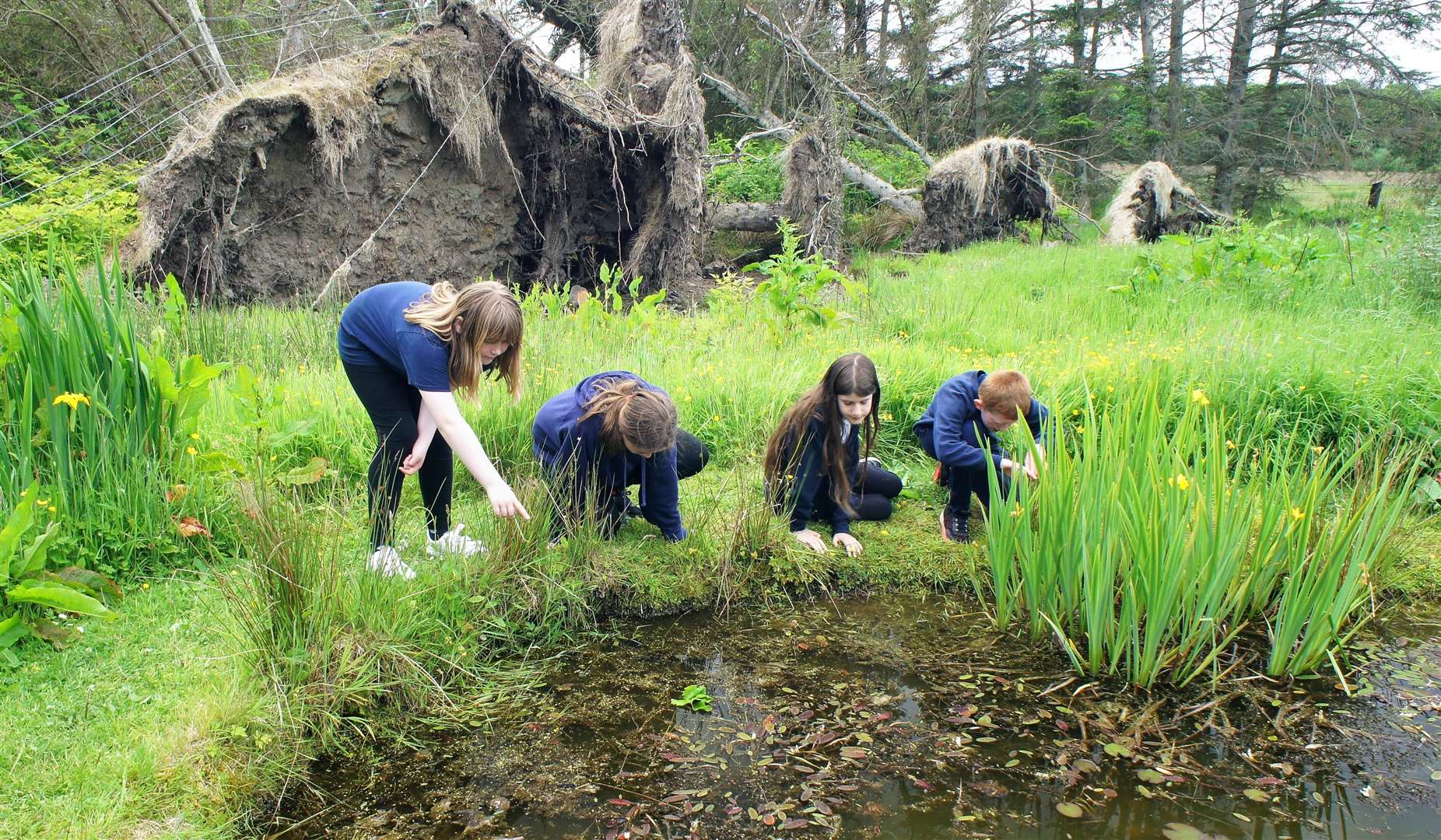 Thrumster schoolchildren search the community woodland pond for signs of life. Picture: DGS