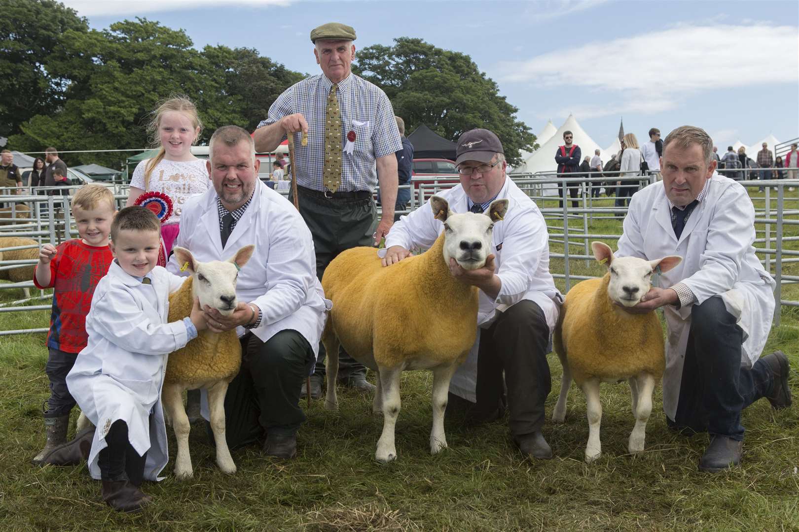 Three generations of the Sutherland family from Sibmister and Stainland Farms line up with the reserve supreme sheep champion and the commercial champions. Their champions were a three-crop Texel cross ewe with her March-born Texel cross lambs. Kenneth Sutherland Snr is at the back, with Kenneth Jnr front left, along with his children Jack, Tom and Amy, while his brother Stephen holds the ewe and non-family-member Johnnie Campbell helps by holding the other lamb. Picture: Robert MacDonald / Northern Studios