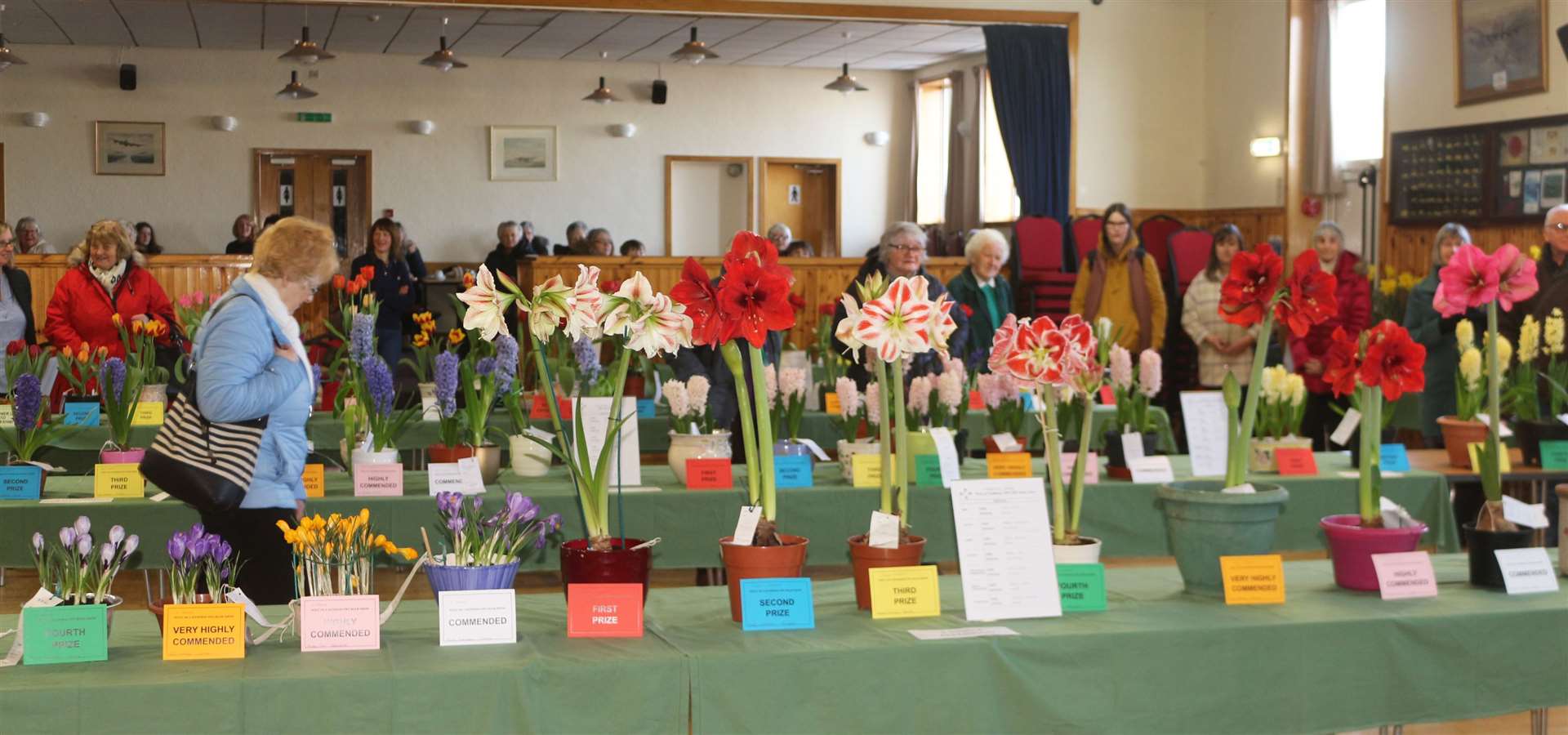 SWI members created a colourful display in the Royal British Legion club hall. Picture: Eswyl Fell