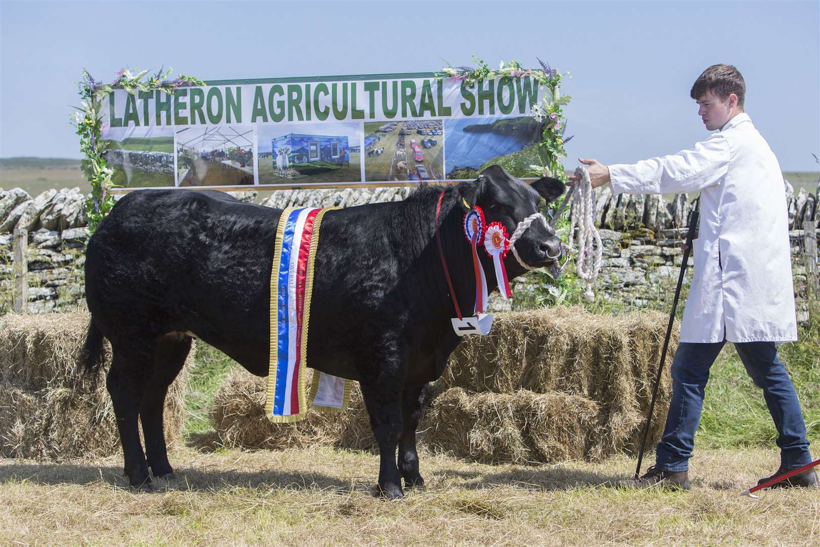 Duncan Munro with the champion of champions, the supreme cattle champion and commercial cattle champion, from J Munro & Son, Ardgay. Classy Lassie is a 19-month-old Limousin cross Belgian Blue heifer, after the Limousin bull Tonka. Picture: Robert MacDonald / Northern Studios