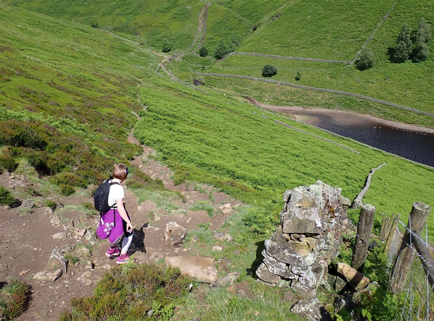 A steep and rough descent leads to the head of the reservoir at the bottom of William Clough.
