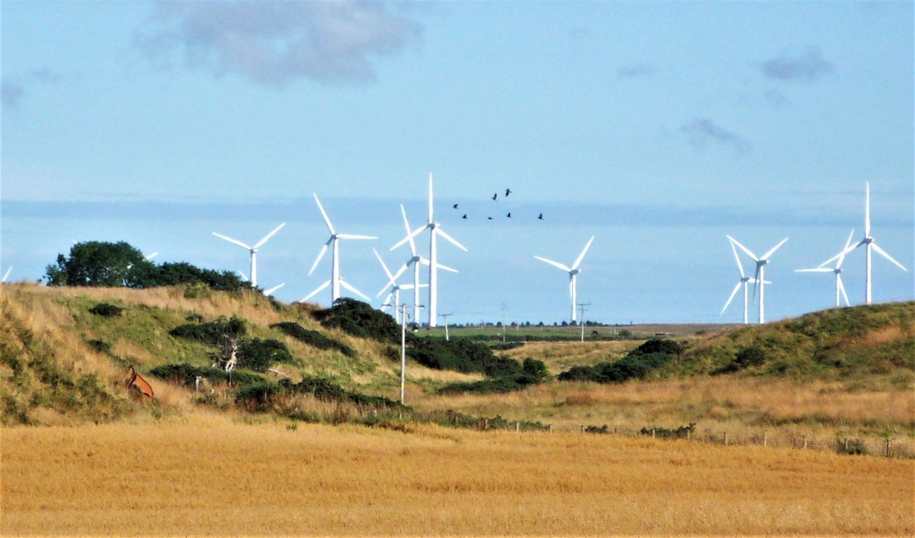 The area around Watten has a series of wind farms and they could now be in place for longer than originally anticipated. Picture: DGS