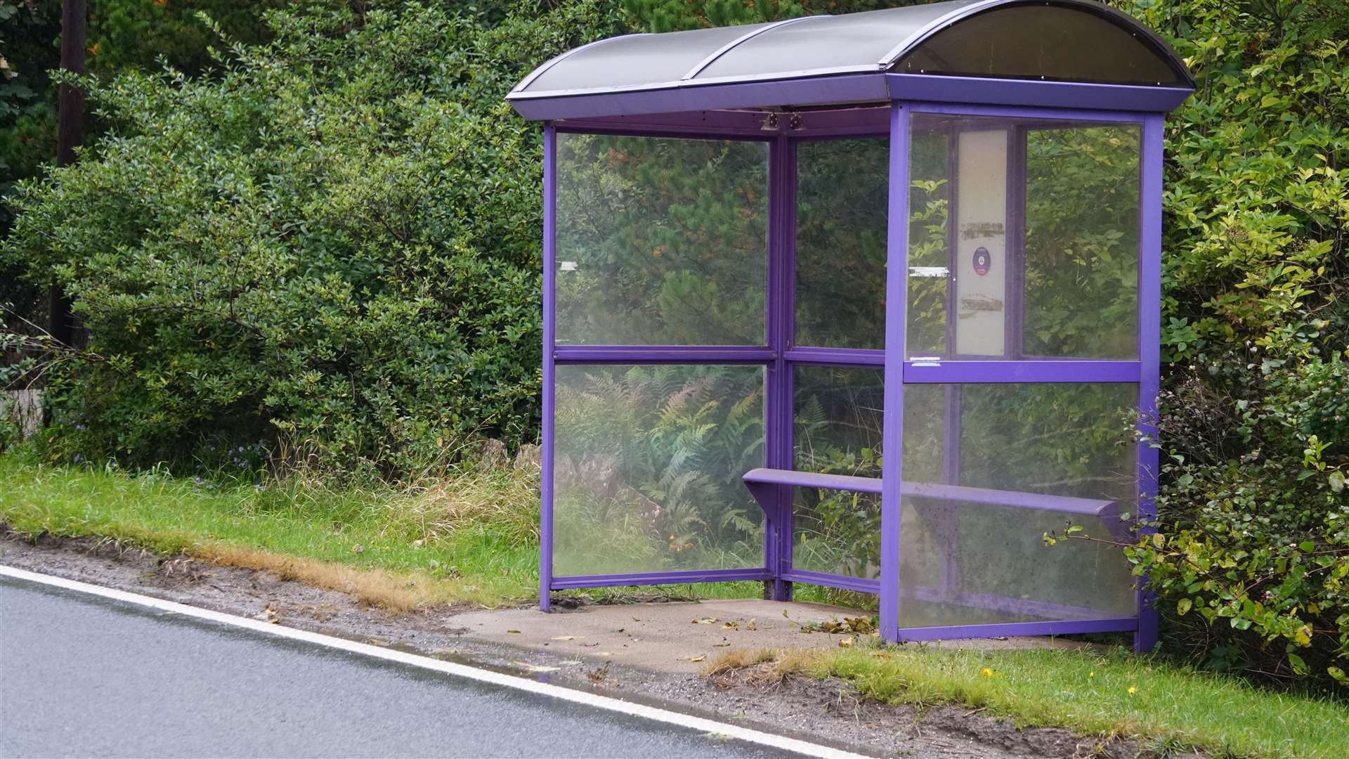 Bus shelter which local kids use for heading to school. Mr Rowan says there are dangers in crossing the road to it.