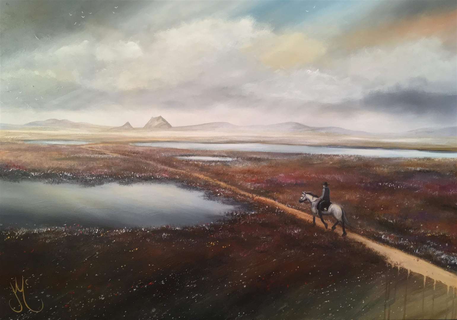 The Flow Country painting, featuring Louis Hall on his trek from John O'Groats to Land's End, raised £525 for cystic fibrosis.