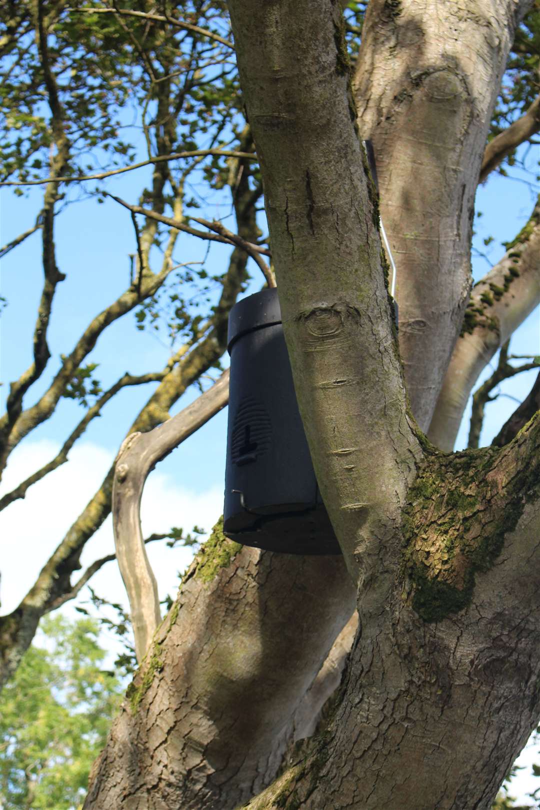 Bird and bat boxes have been installed around the site to support protected species. Picture: John Davidson