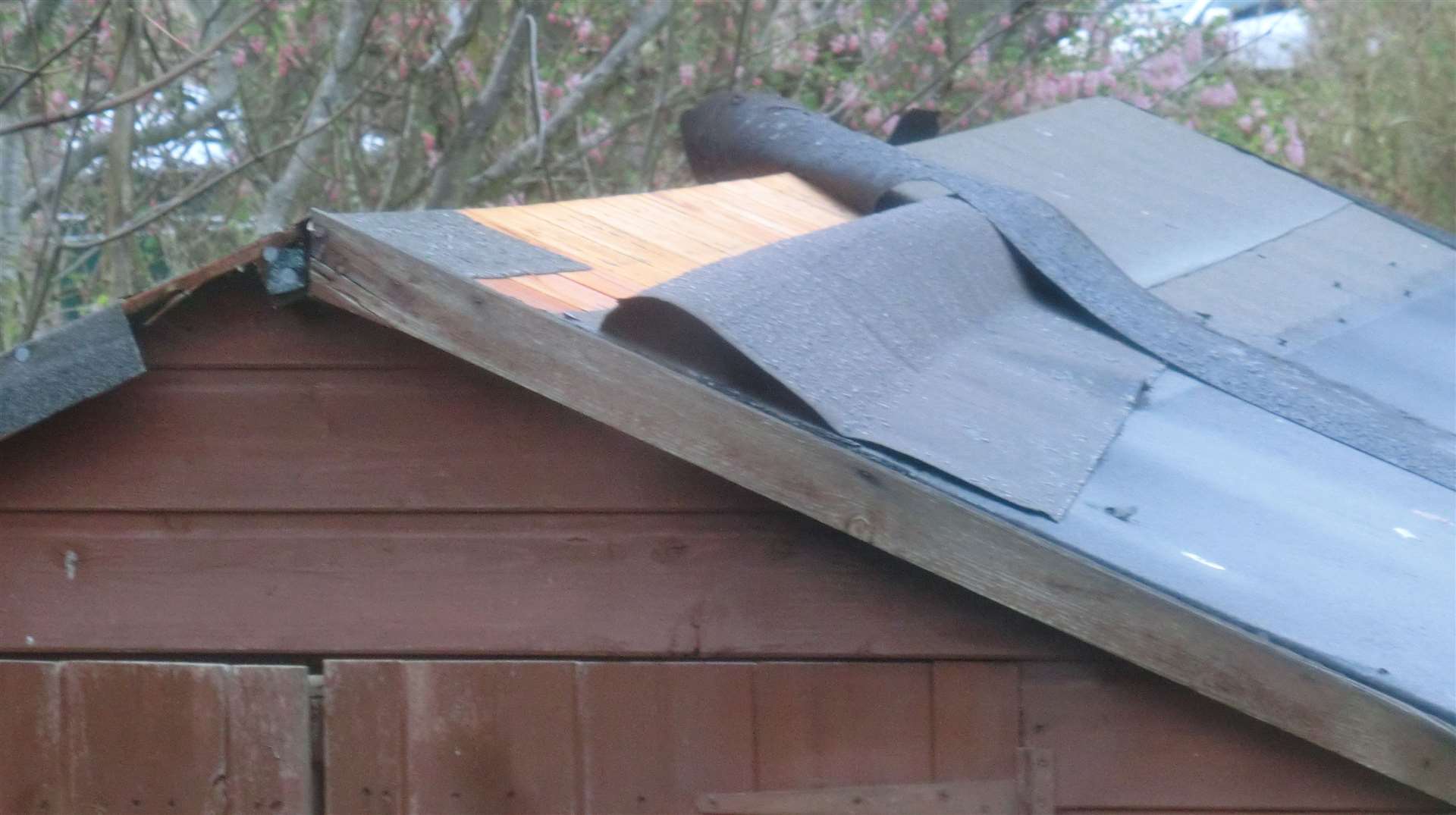 High winds ripped the roofing material from this shed in Wick.