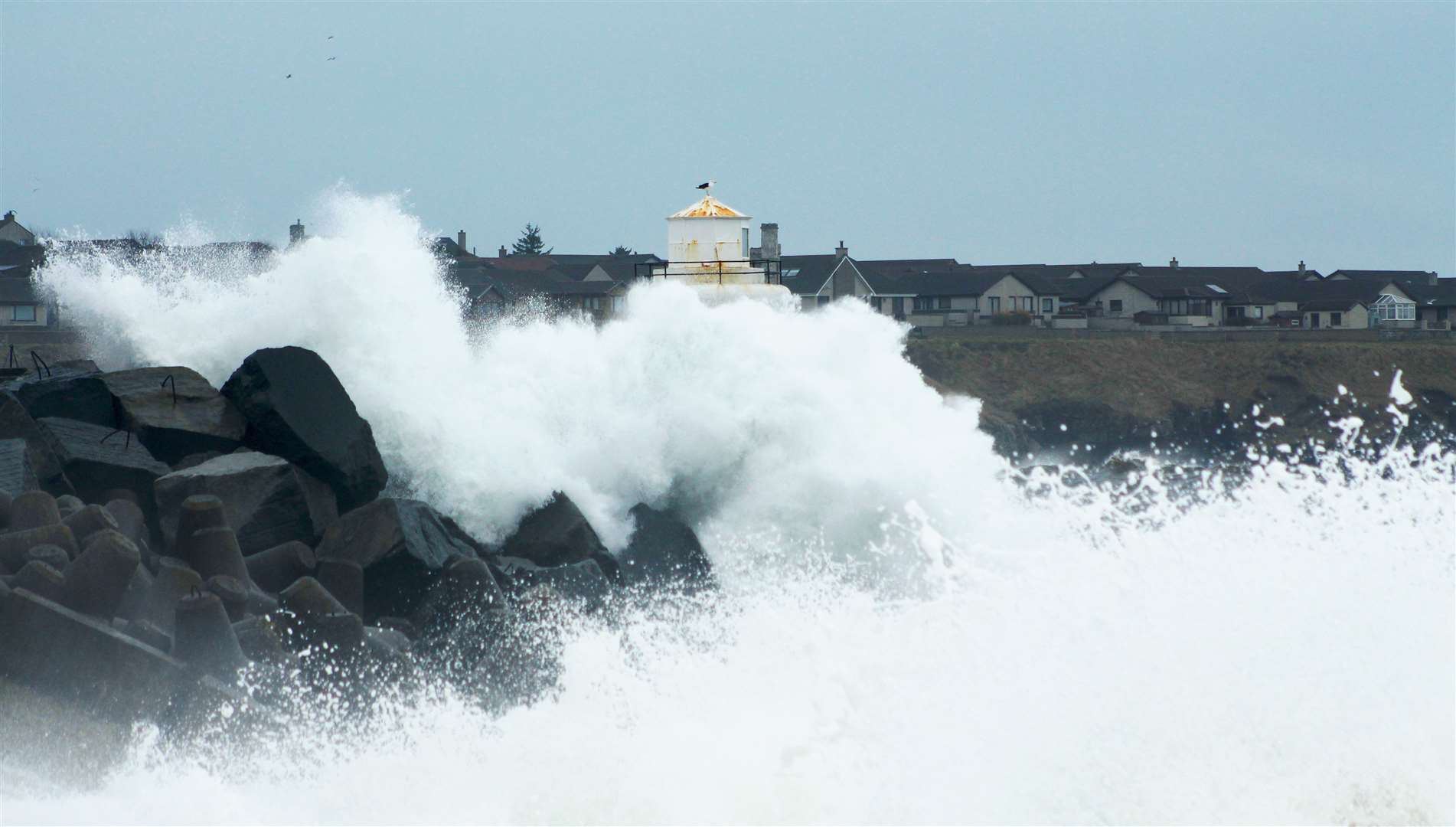 Waves smashing against Wick's outer harbour wall, as a gull sits unperturbed on top of the lighthouse. Picture: Alan Hendry