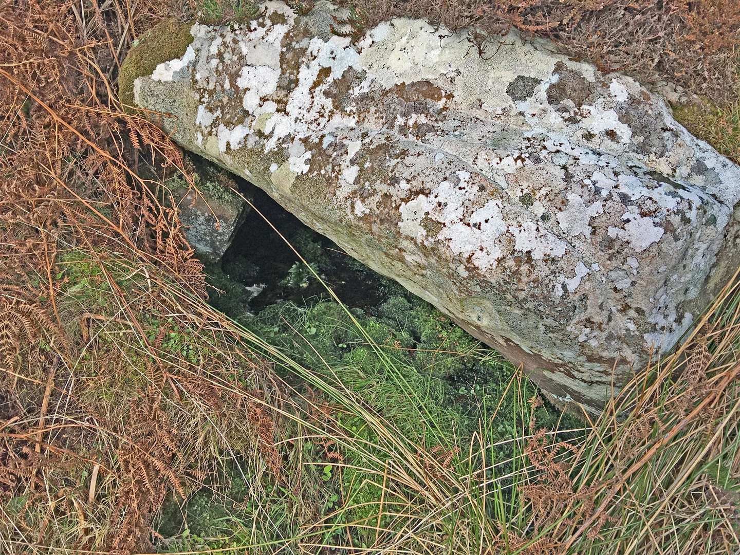The well near the old chapel, Dunnet Head.