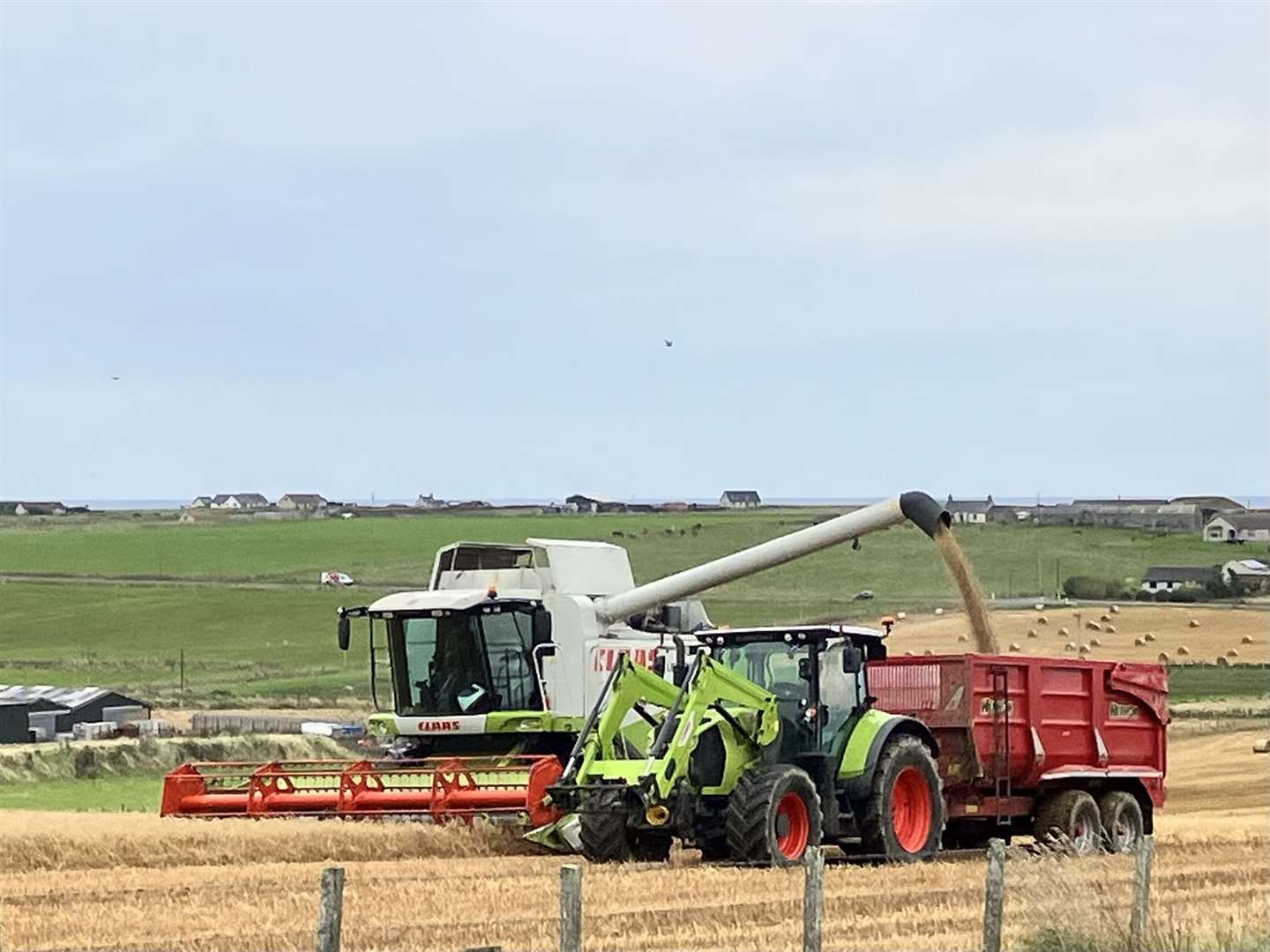 Roger Bamfield sent this photograph which he explained shows Caithness industry in harvesting the oats on one of the fields at Charity Farm. ‘The tractor was being skilfully driven by a lad making the most of his school being closed because of the strike days,’ Roger added.