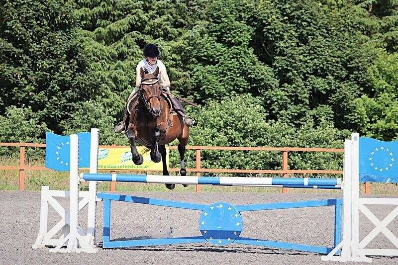 Meghan and Kash in action this summer in a 1.10m British Showjumping class.