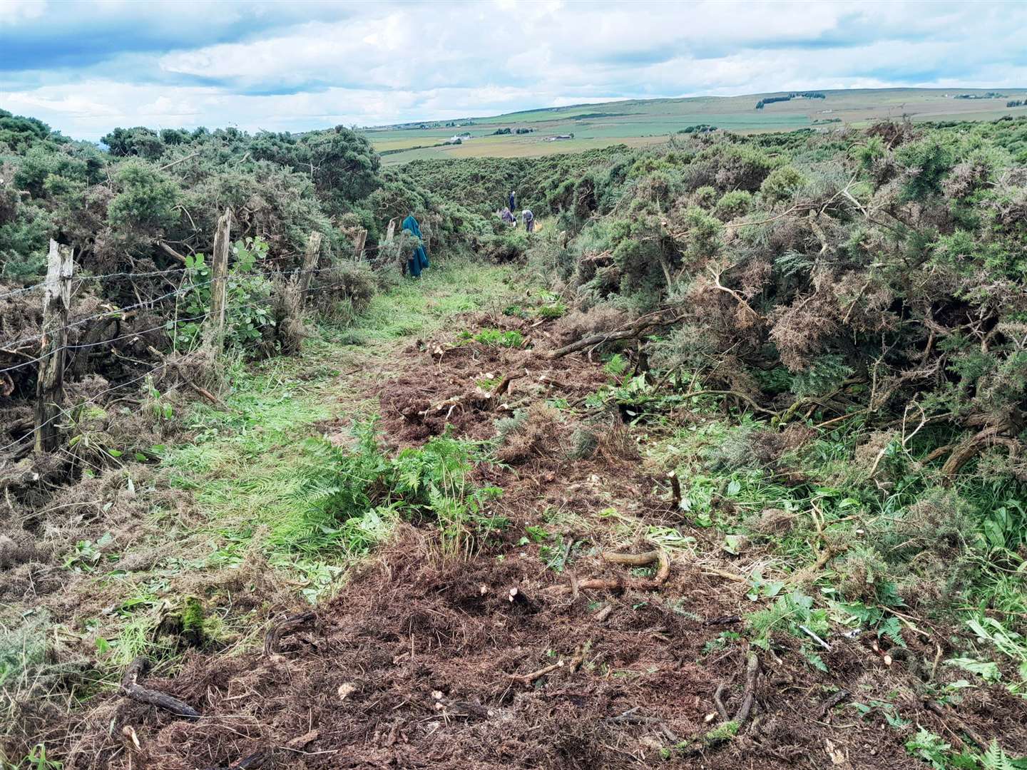 The work included removing invasive gorse that was blocking the route.