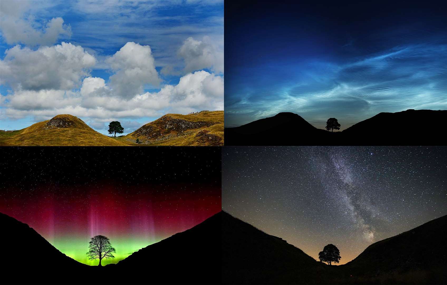 The tree at Sycamore Gap, Northumberland, taken (clockwise from top left) in daylight, with noctilucent clouds, the Milky Way and the Northern Lights (Owen Humphreys/PA)