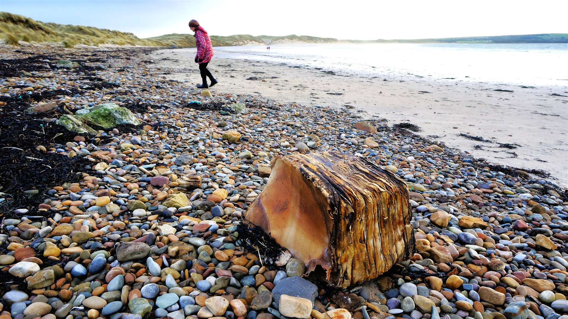 A similar bundle was seen on Dunnet beach in 2019 but has since disappeared. Picture: DGS