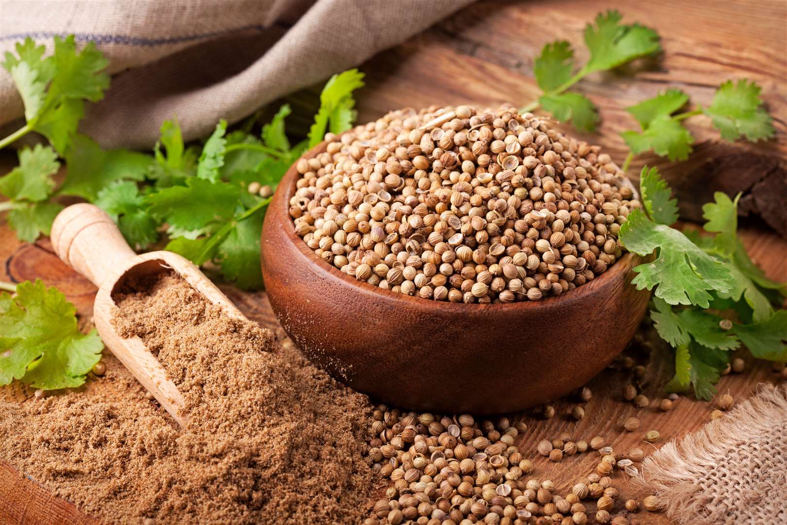 Coriander is used in many forms.