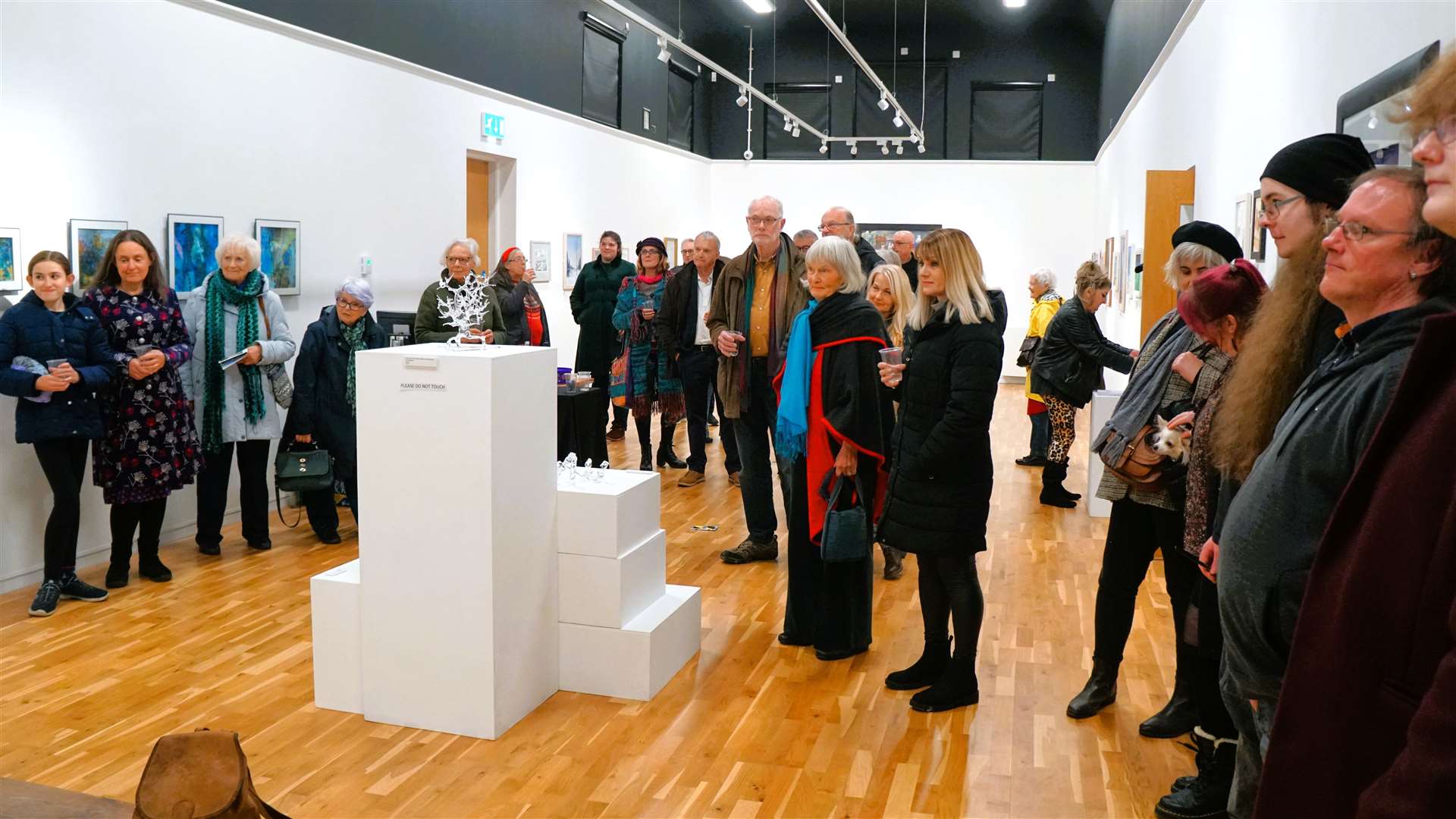 Over 50 people turned up for the event at Thurso Art Gallery. Picture: DGS