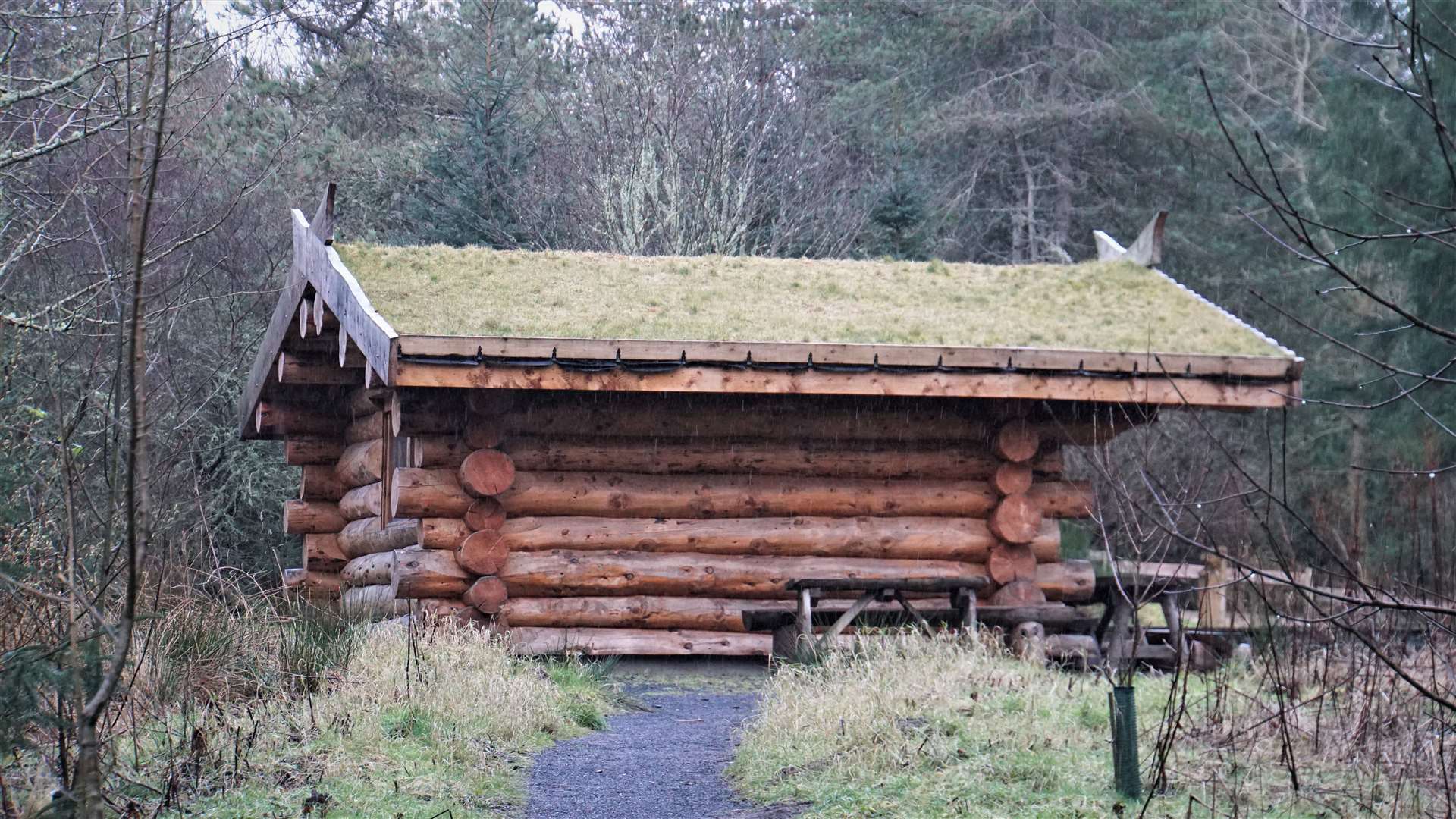 Dunnet Forest is currently managed by the community trust under a lease from Scottish Natural Heritage. Picture: DGS