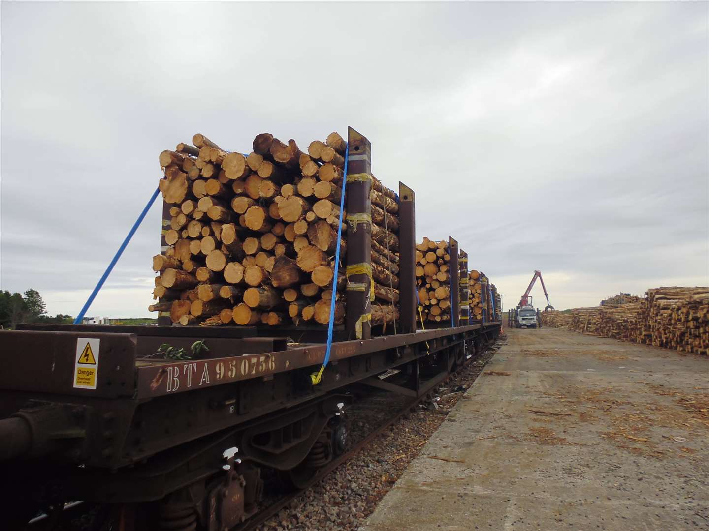 Moving timber loads onto rail will take 250 lorries off the roads over the six-week trial period.
