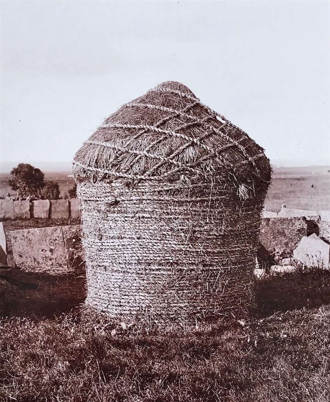 Corn byke at Myrelandhorn in 1905. Picture: Nucleus: The Nuclear and Caithness Archives