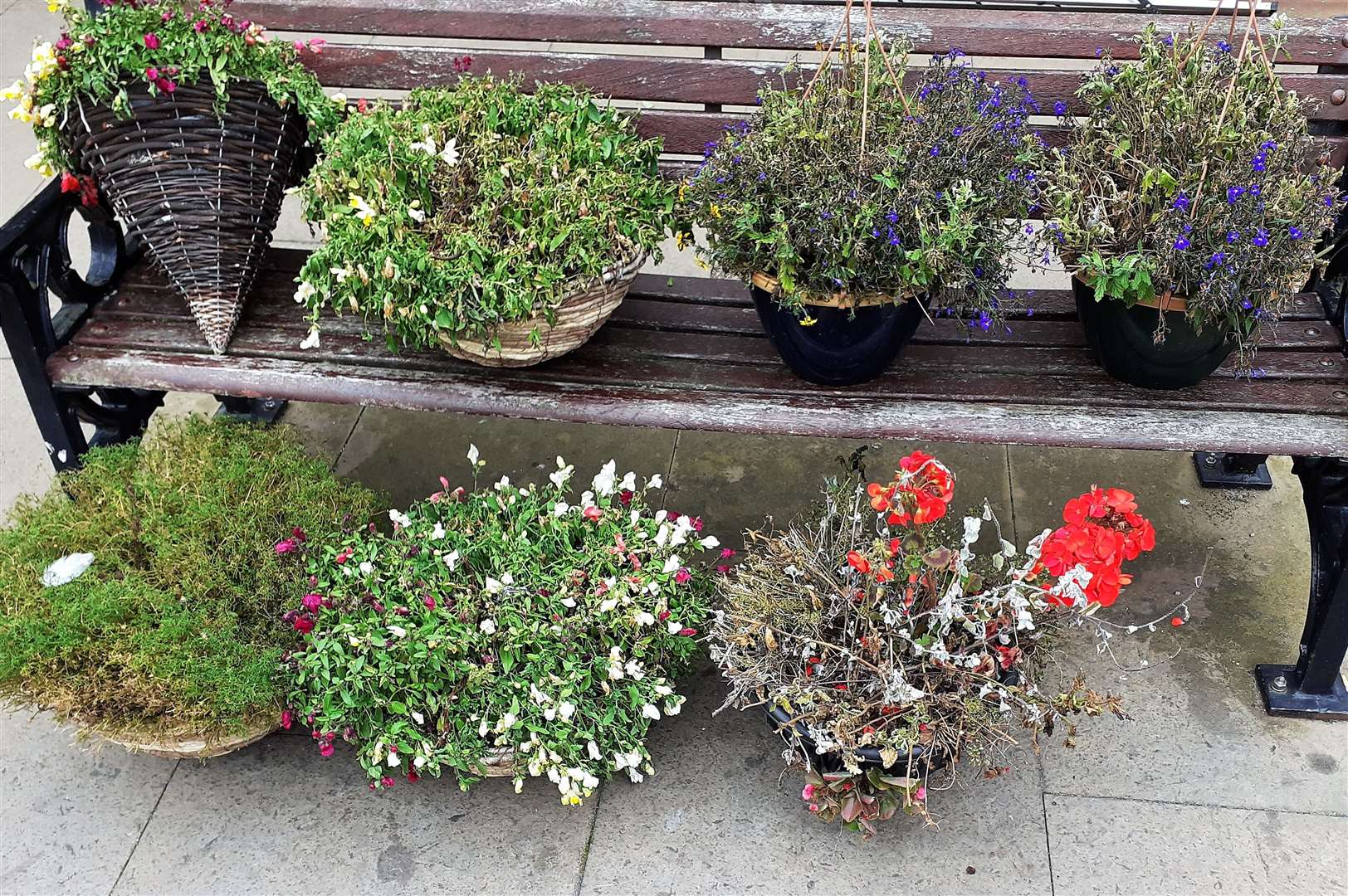 Flower baskets that Alexander Glasgow has located in Thurso town centre.