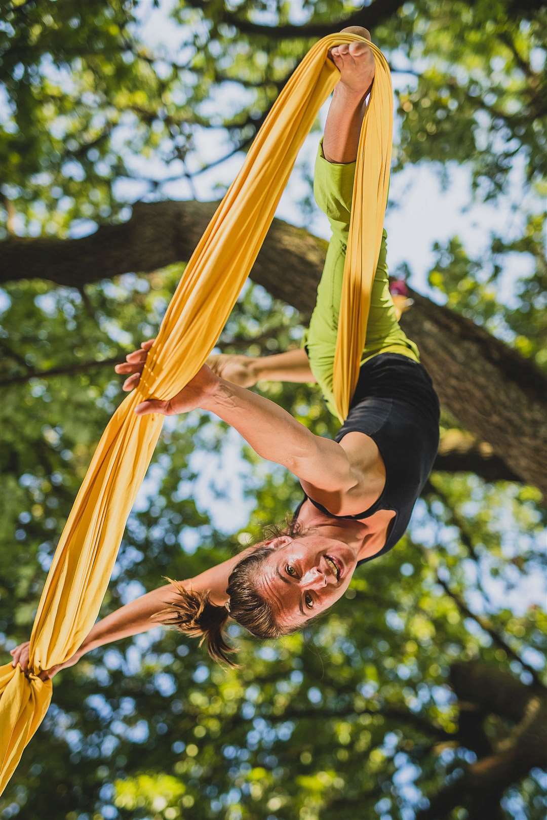 Some clips were compared with videos of human aerial silks performances (Alamy/PA)
