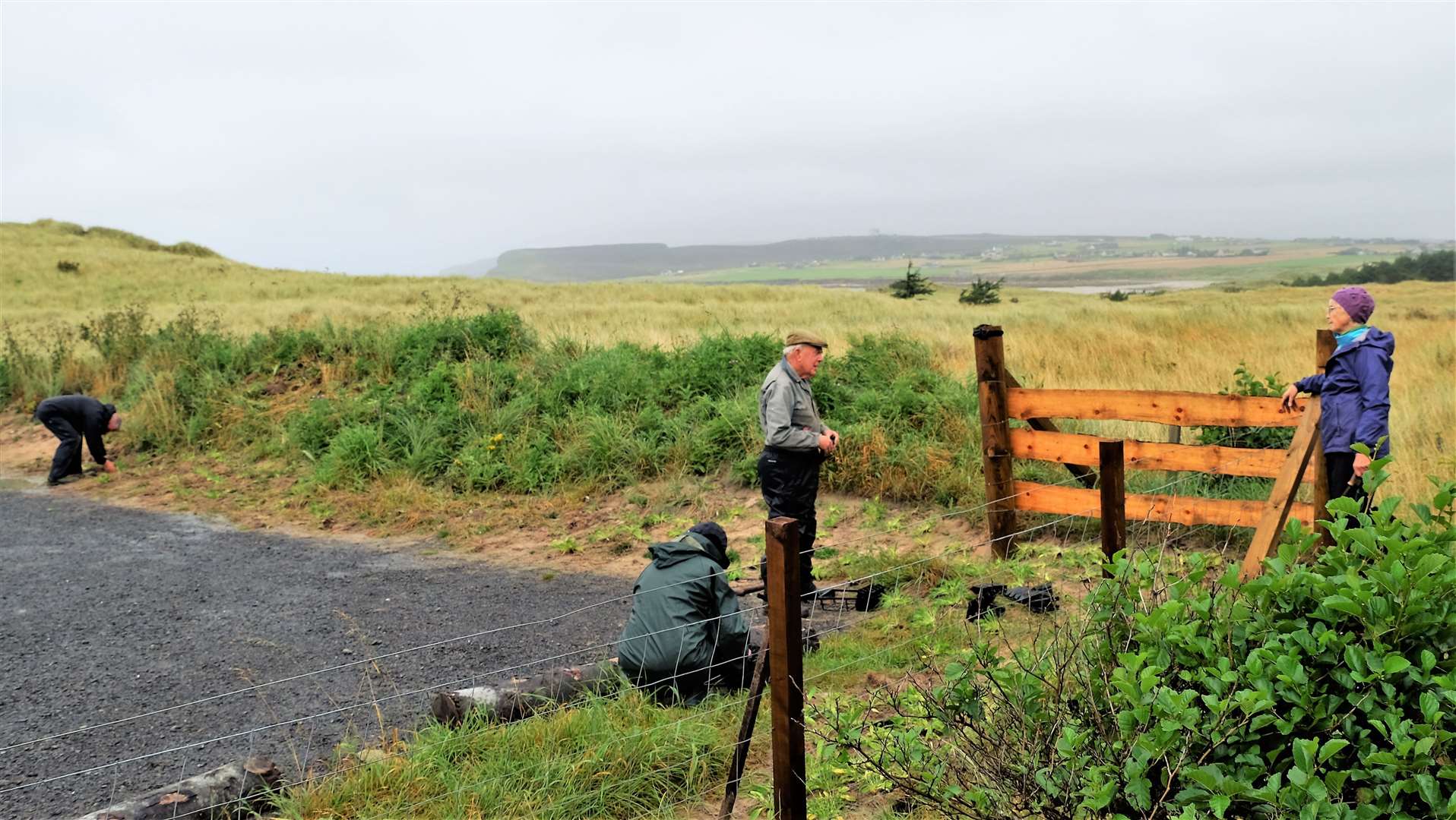 Members of the Caithness Environment Volunteers met at the Dunnet Forest car park last week to plant more than 200 kidney vetch plants.