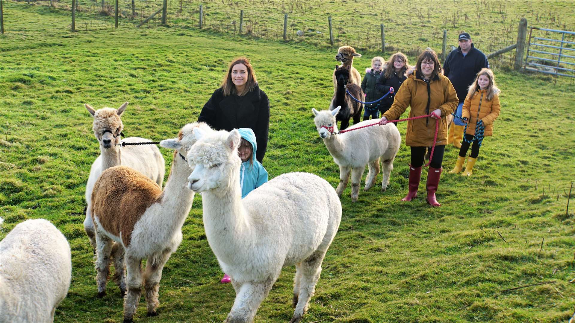 It's a beautiful morning and the visitors stop with their alpacas for a quick portrait shot. Pictures: DGS