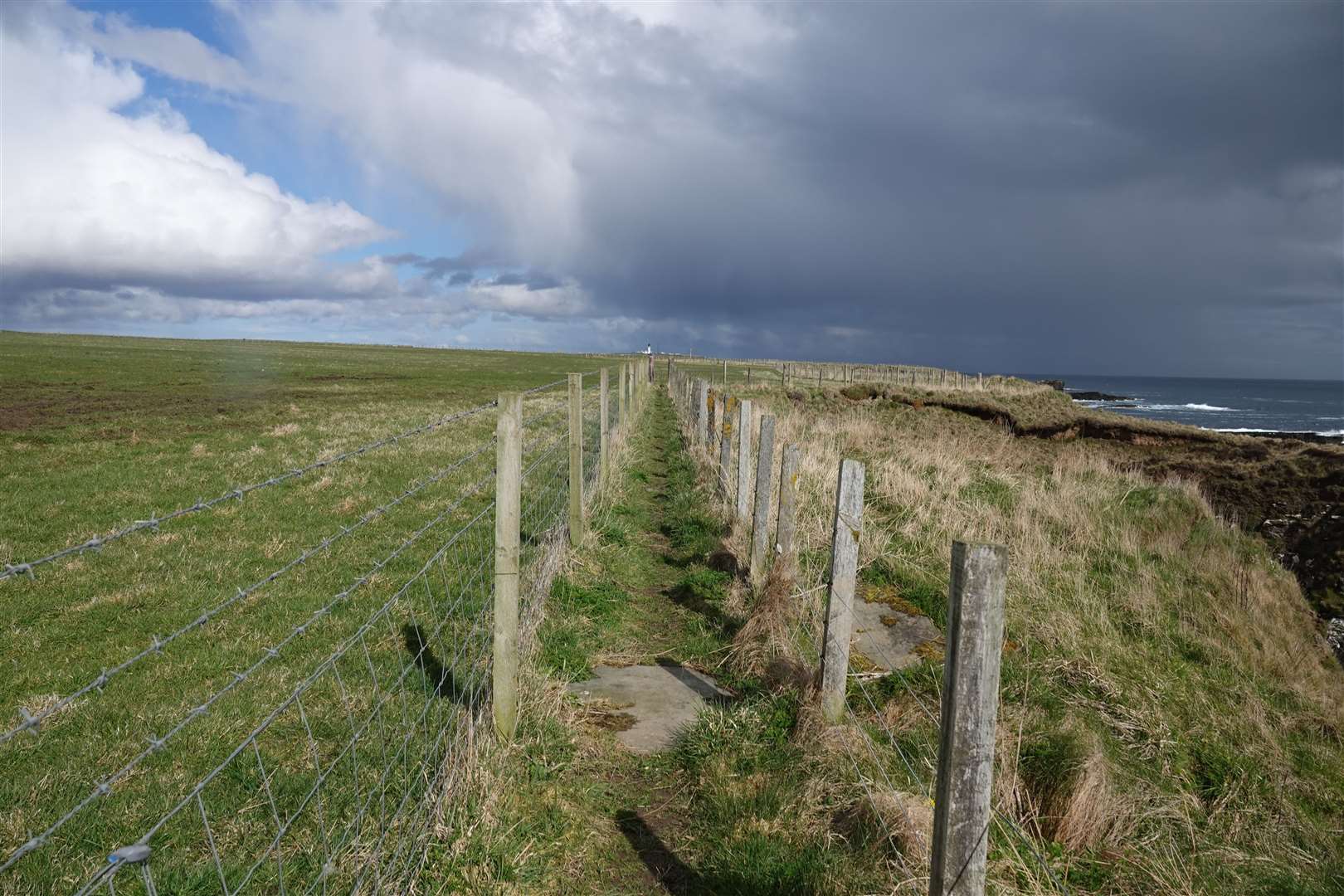 Derek Bremner sent this photograph taken between Staxigoe and Noss on the John O'Groats Trail.