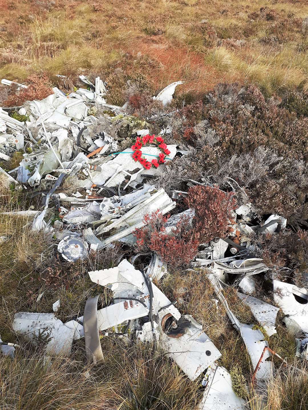 James laid a poppy wreath in memory of the Canberra crew who died when their jet crashed into Scaraben in 1966. Wreckage is still visible. Pictures: James More