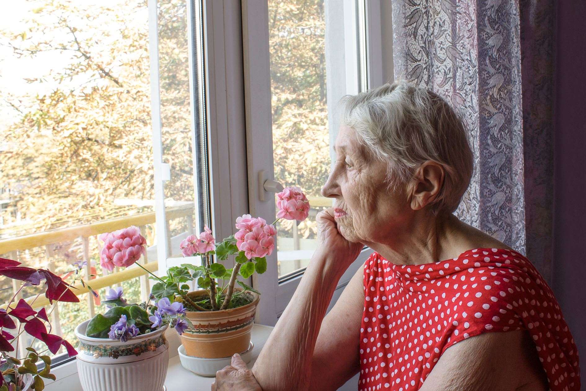 Older people can often feel isolated, trapped in homes no longer suitable for them and remote from any sense of community.