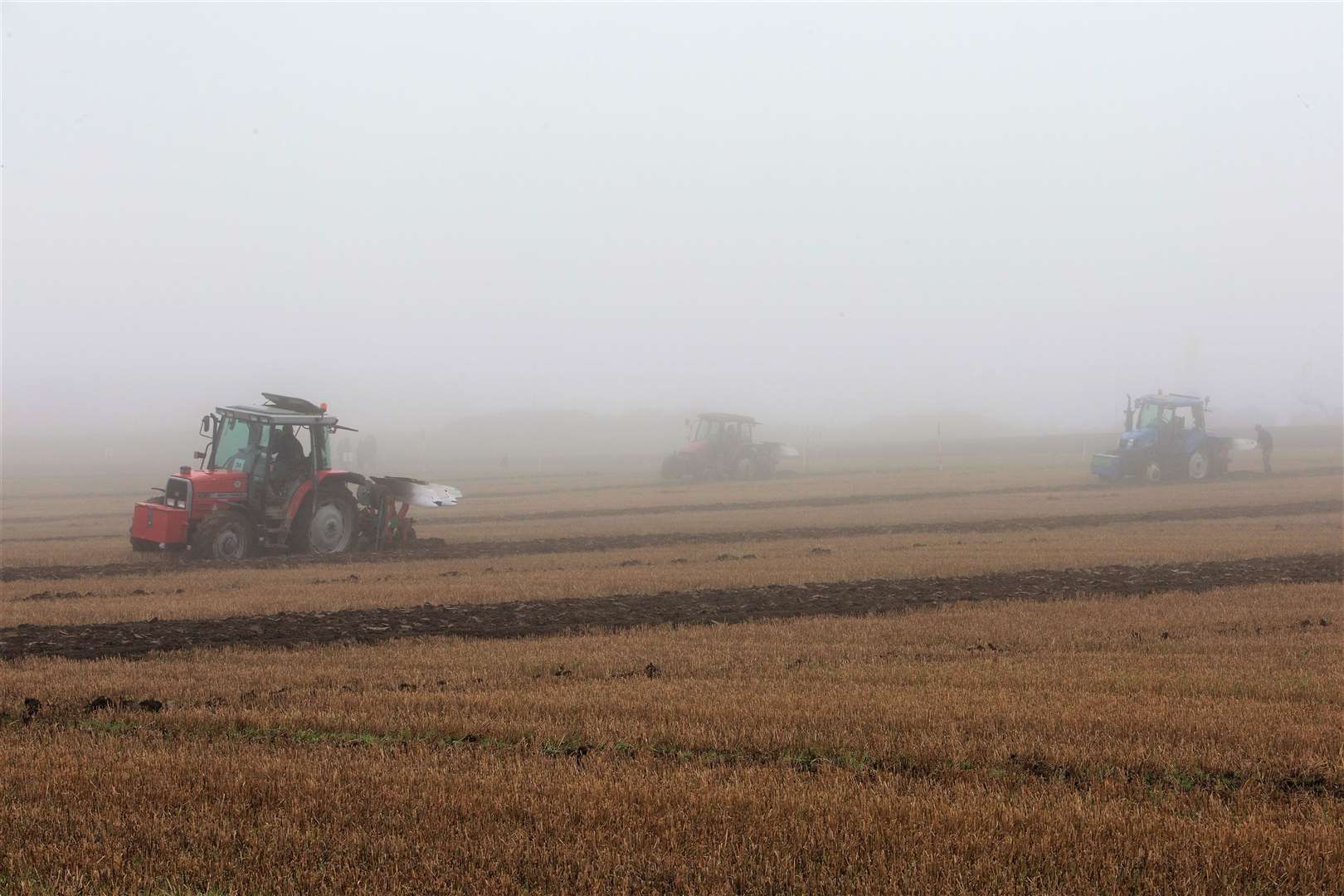 Tractors in the mist. Photo: Robert MacDonald/Northern Studios
