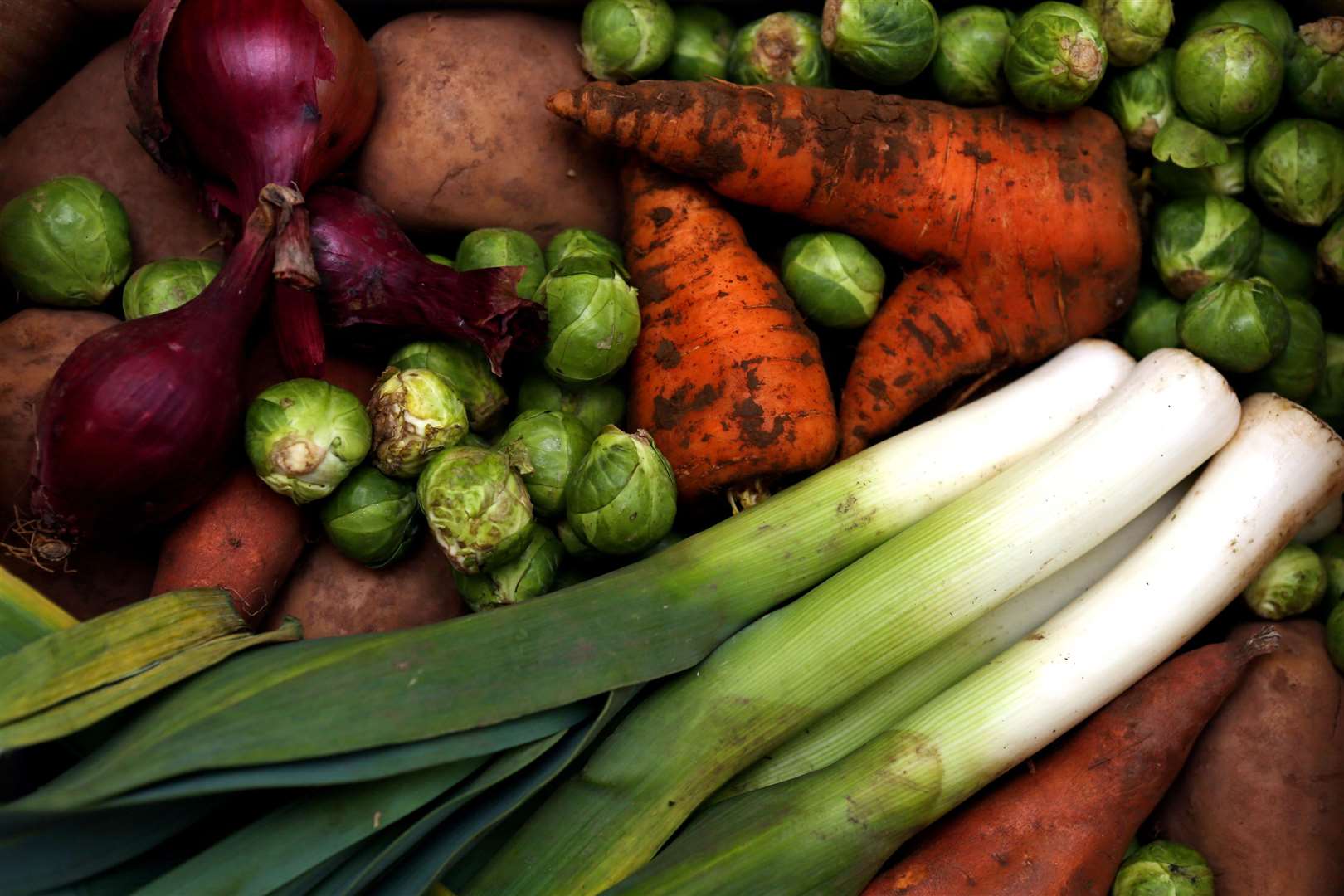 The future of vegetables-supply could be in trouble, the NFU has said (David Davies/PA)
