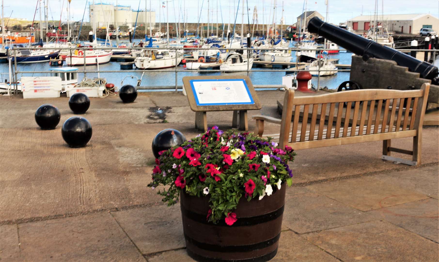 A planter at Wick harbour. Picture: Eswyl Fell