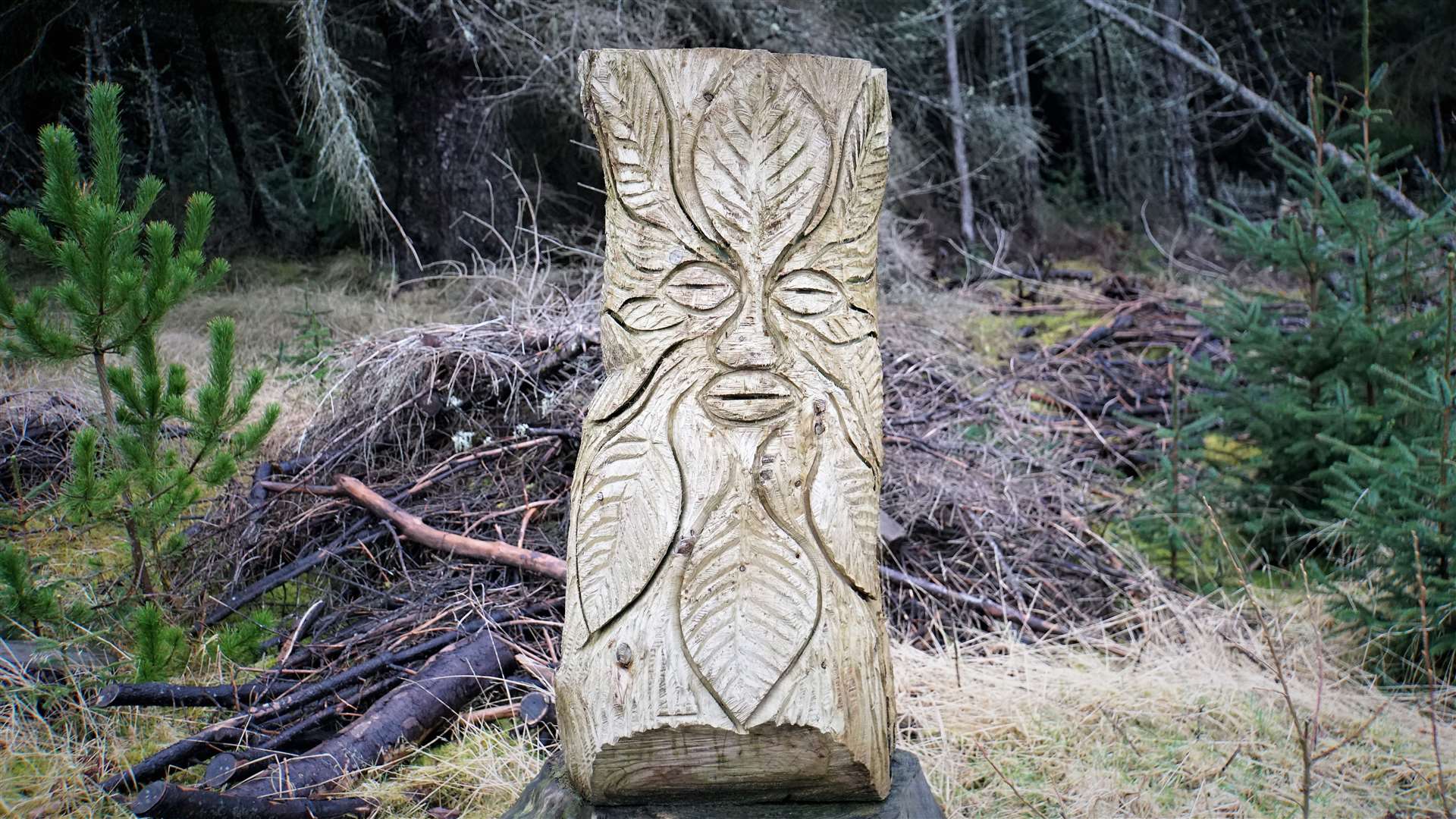 The creative works within Dunnet Forest help make it a popular attraction. Picture: DGS