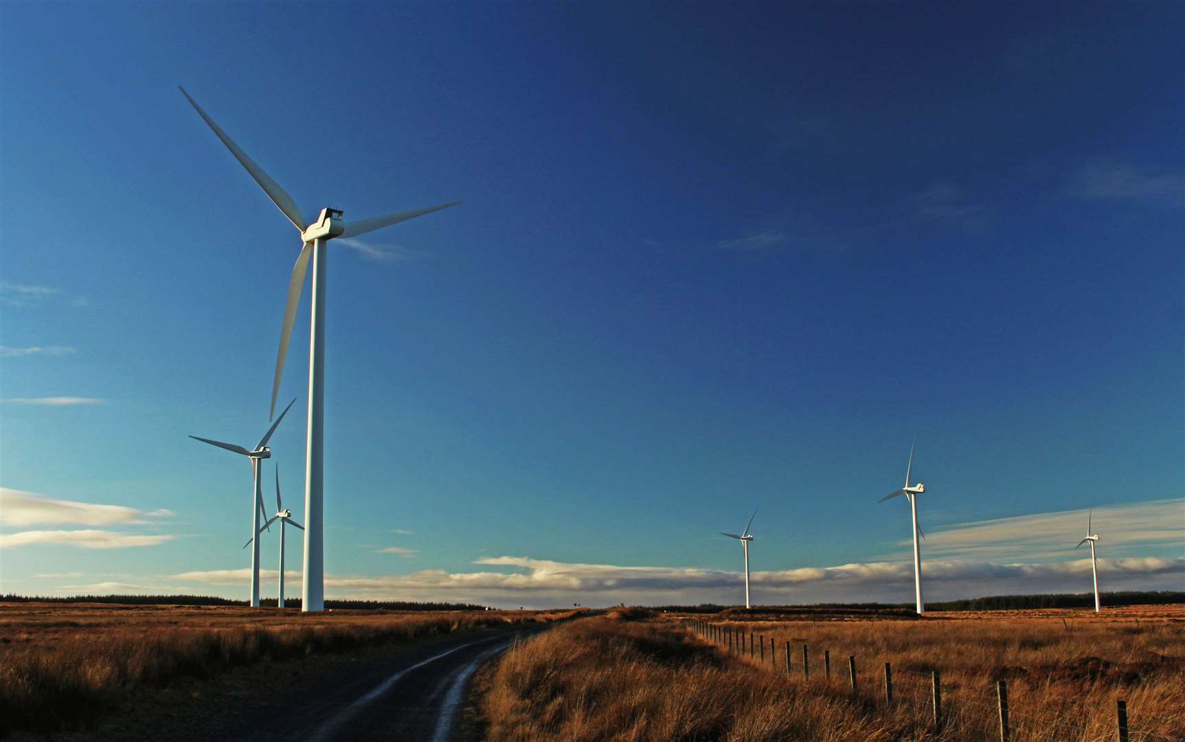 Some of the turbines at the existing Camster Wind Farm. Picture: Alan Hendry