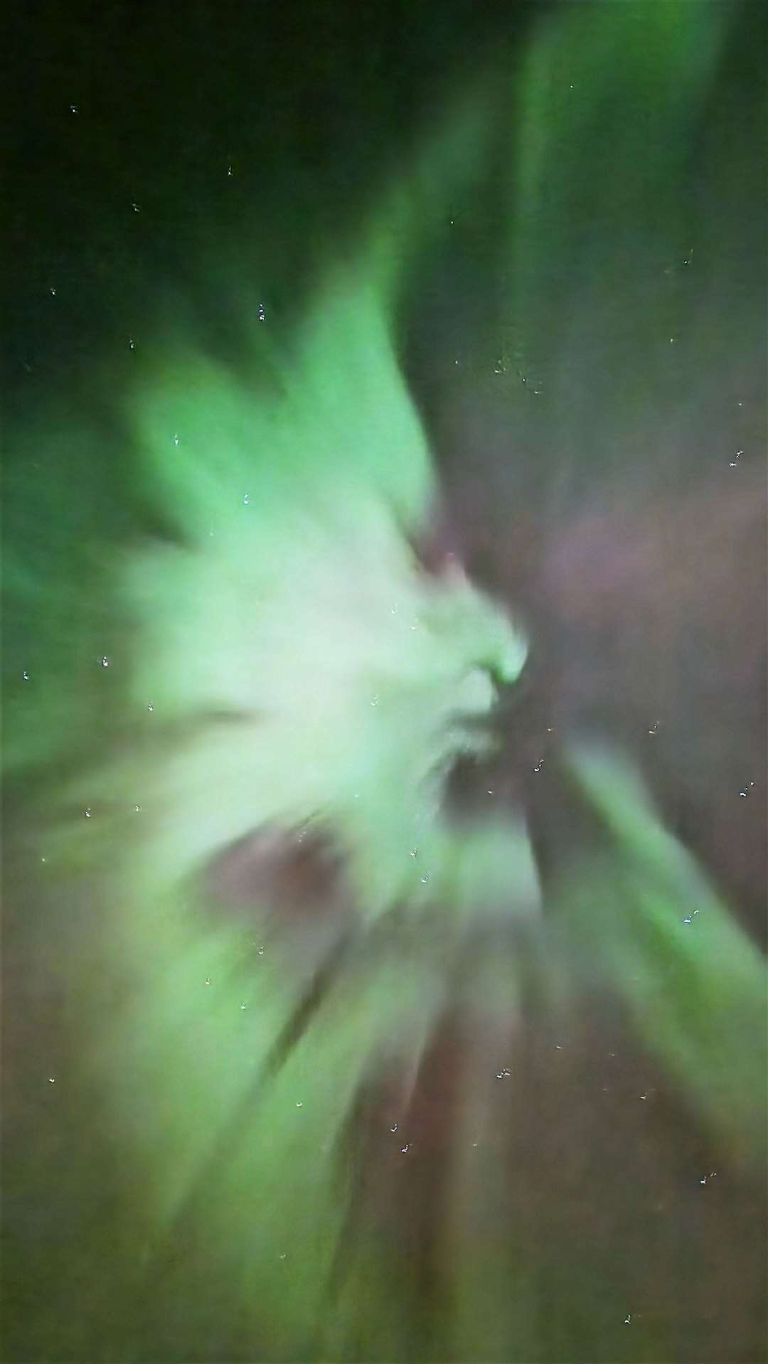 The aurora picture taken by Scott Livingstone last night. It appears to have a face.